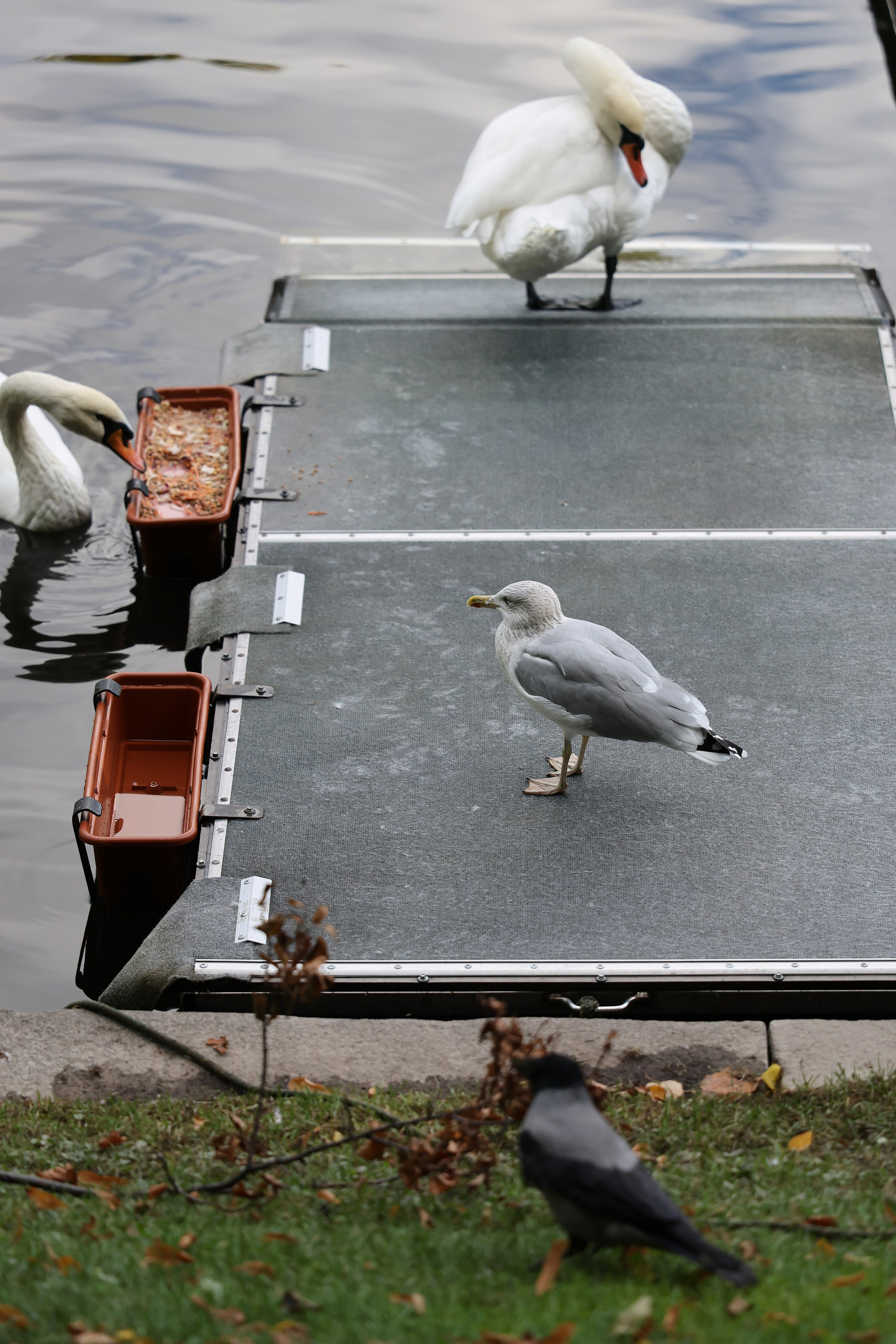 Это Питер, детка. Добро пожаловать в студию «Цифровой скульптор»  где искусство встречается с технологиями!