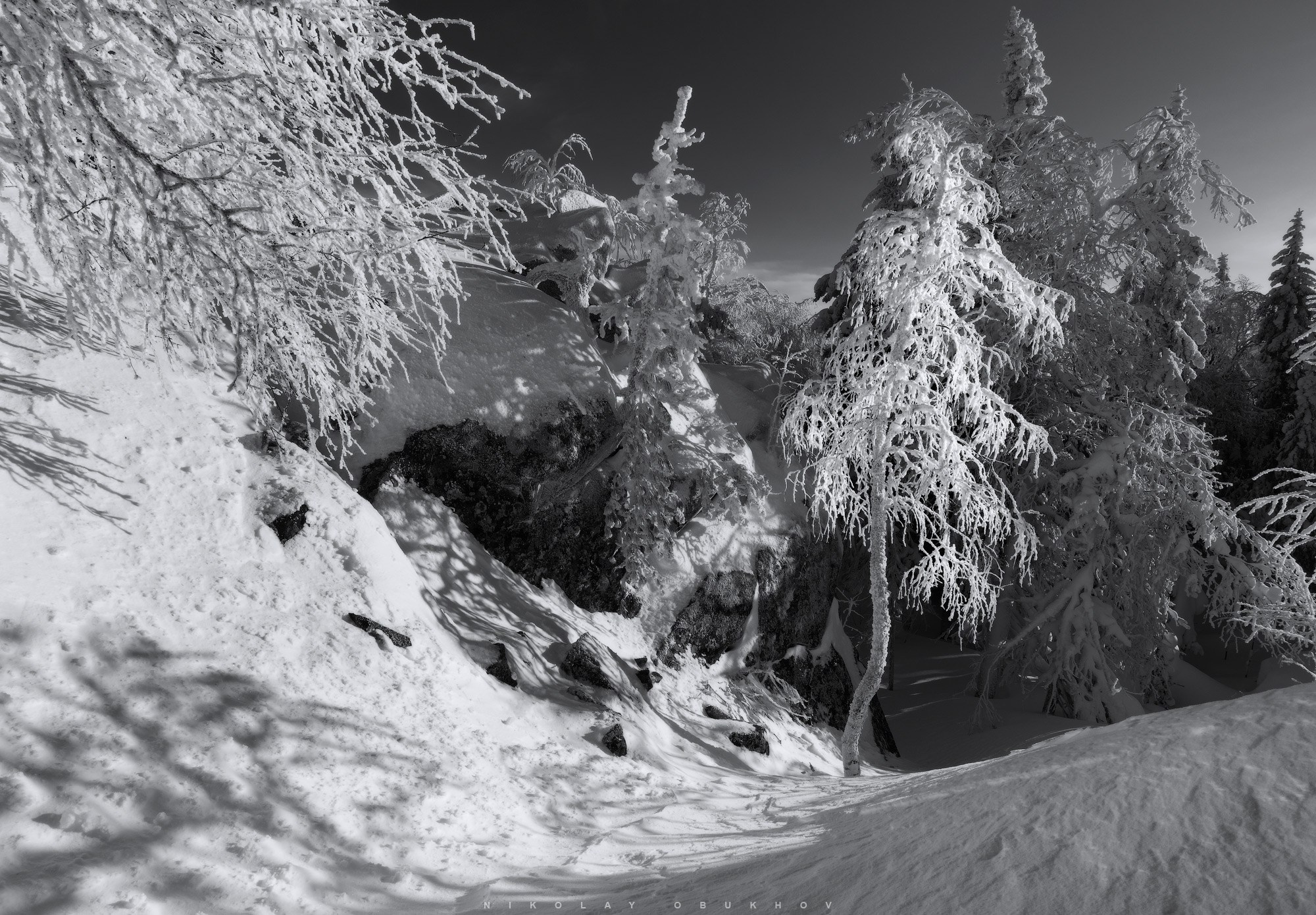 Зимний лес, снег и сияние солнца на склонах Белой горы.
