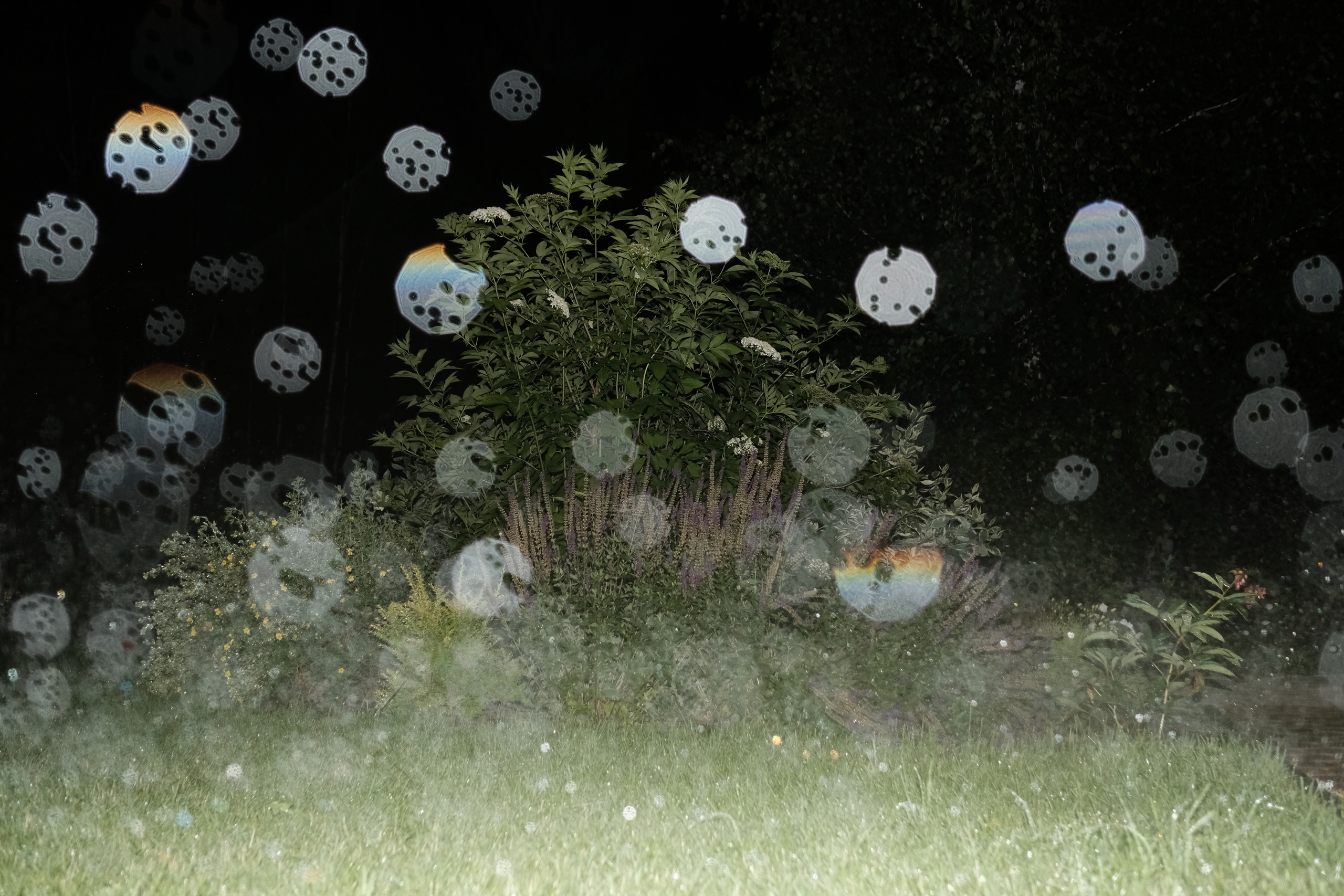 Introversion. Documentary photographer Olga Kardashova