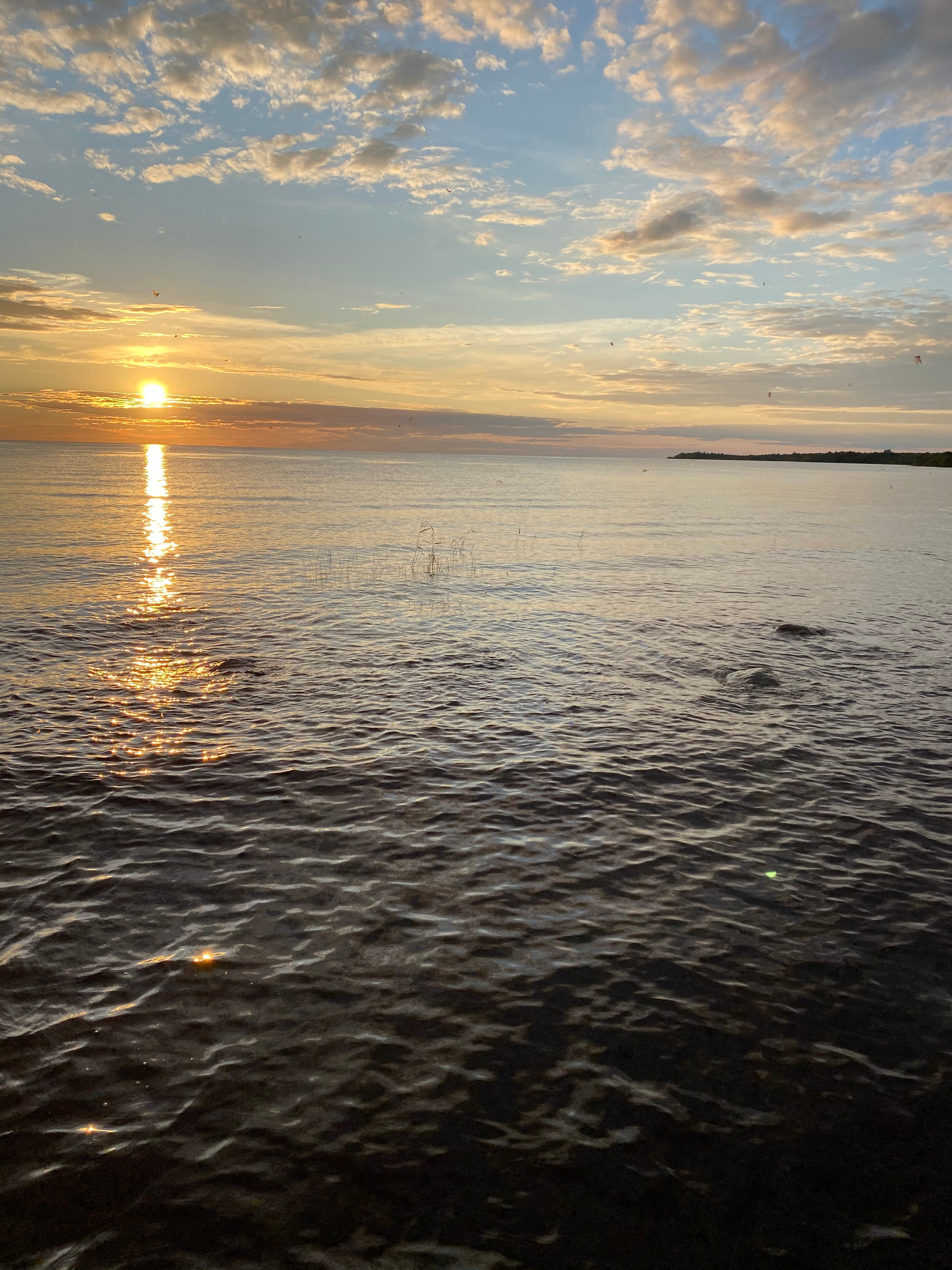 Териберка — 20. Своя Мастерская