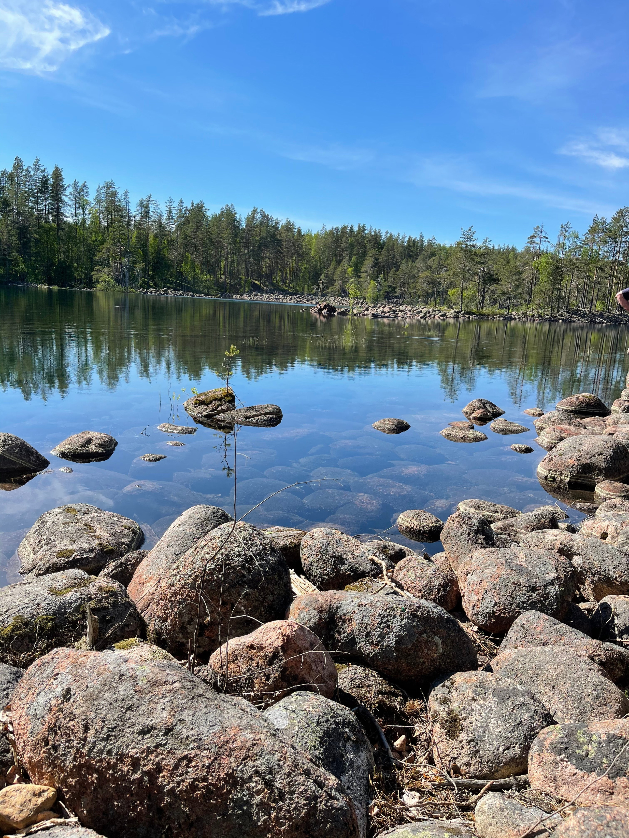 ЛадогаТрофи — 21. Своя Мастерская