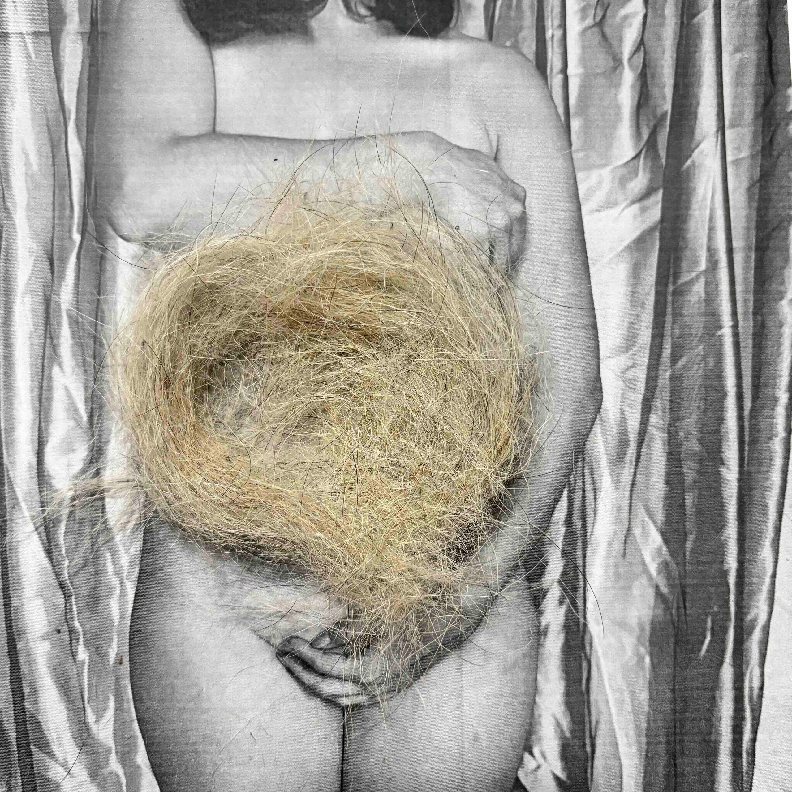 Укрытие. Катерина Эделева