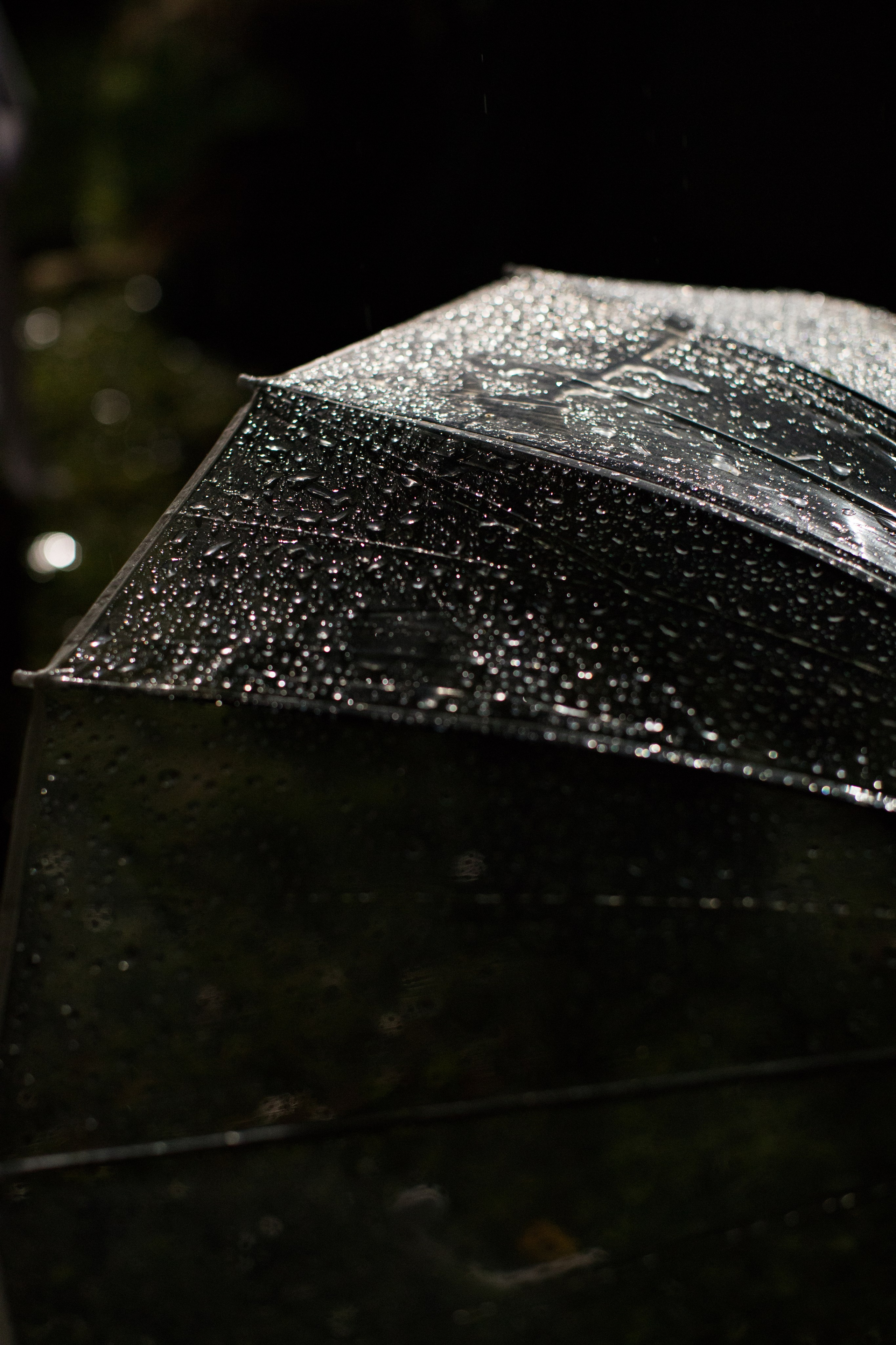 Свадьба Сергей и Ангелина. Анастасия Давыдова