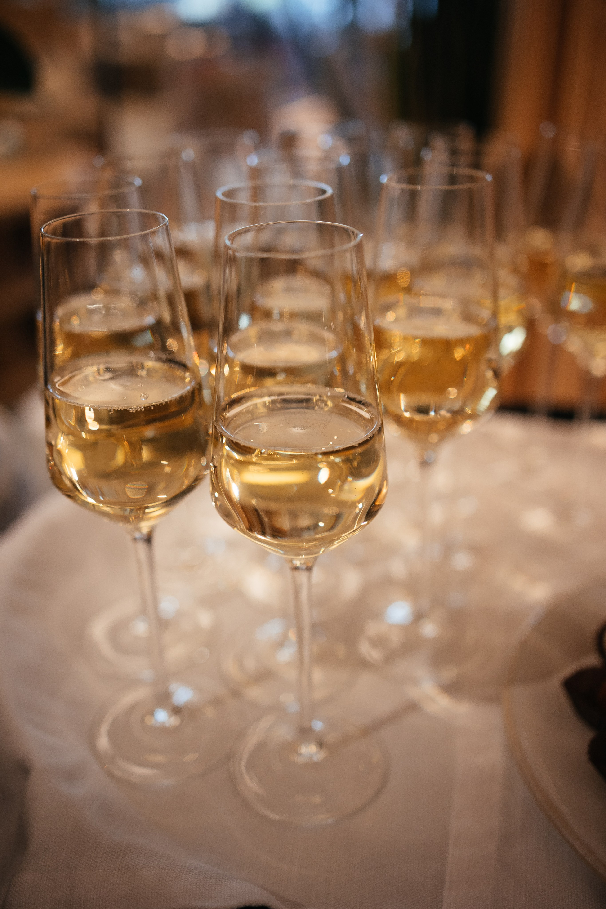 Открытие ресторана Сыроварня. Фотограф Крохин Олег