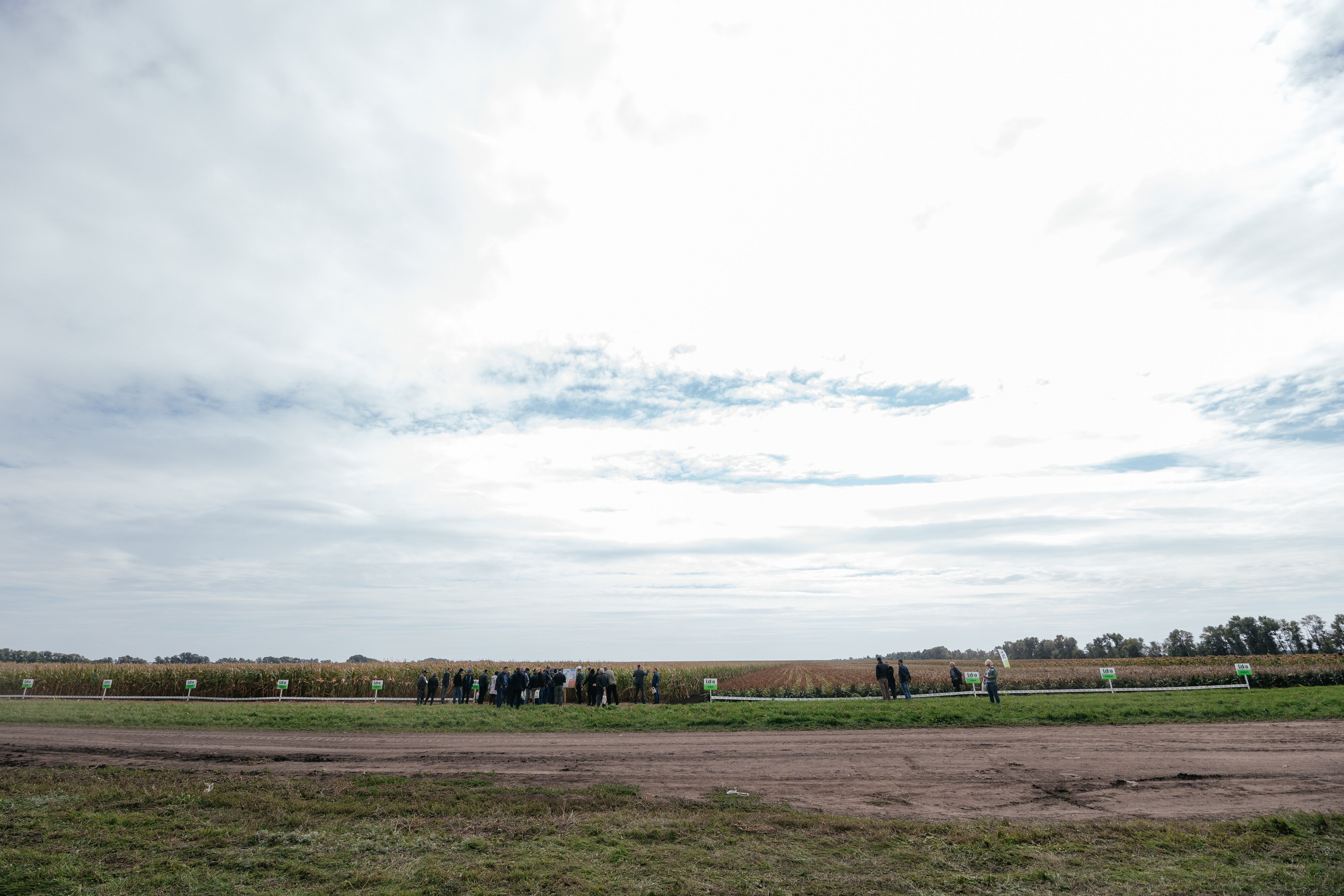 День поля. Фотограф Крохин Олег