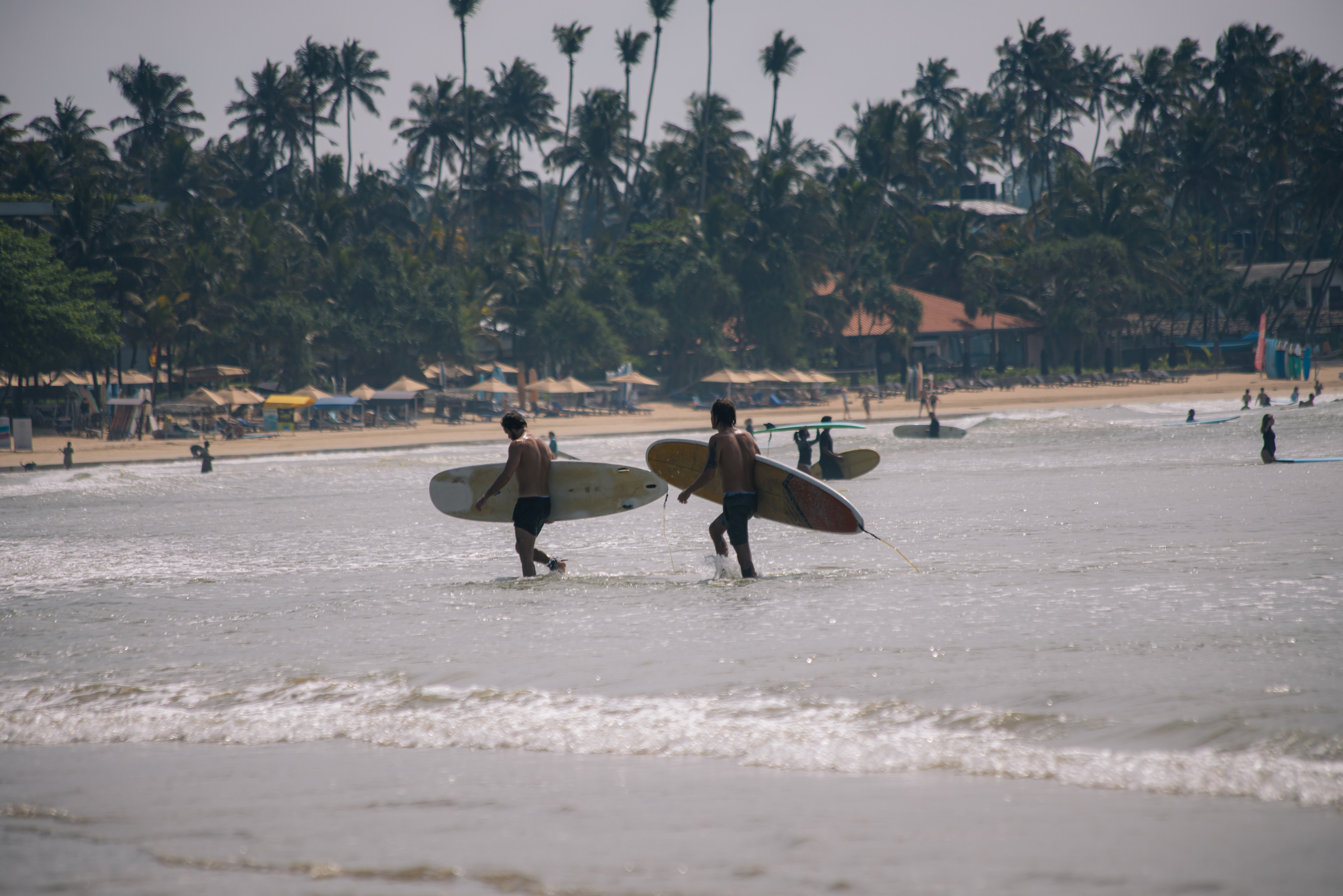 Weligama_bich. Ведущий на праздник в Москве / Денис Аганин