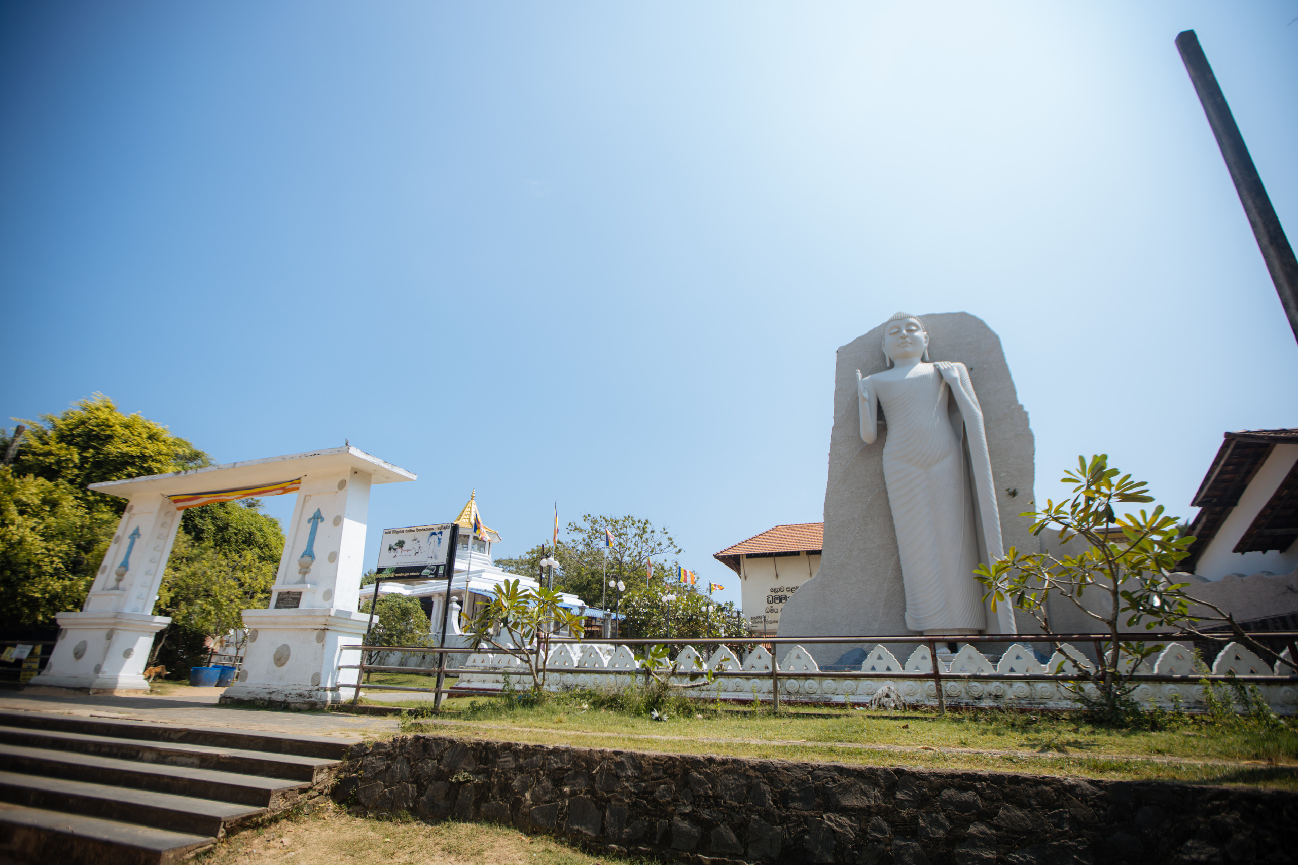 Surf_land. Ведущий на праздник в Москве / Денис Аганин