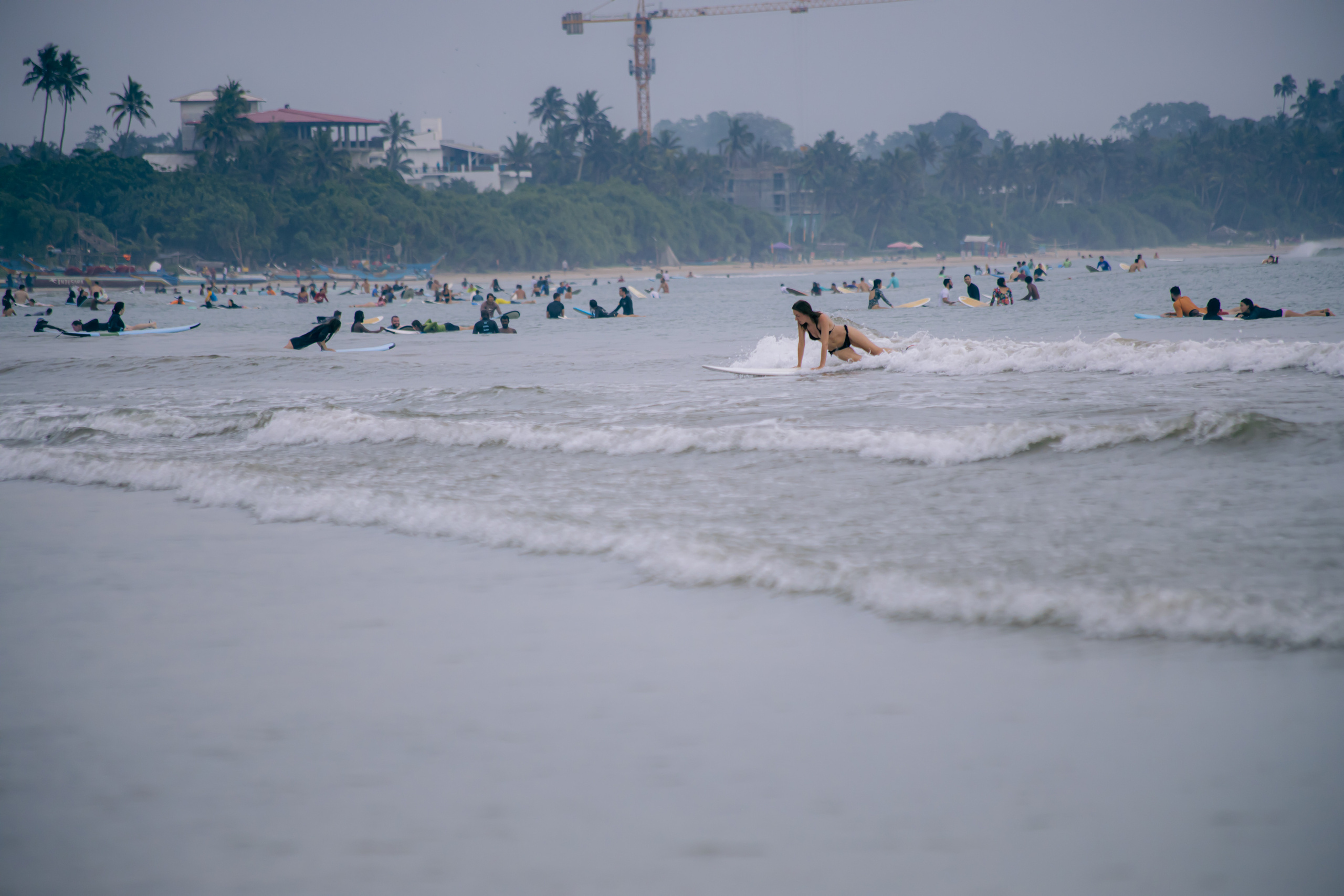 Ната1. Ведущий на праздник в Москве / Денис Аганин