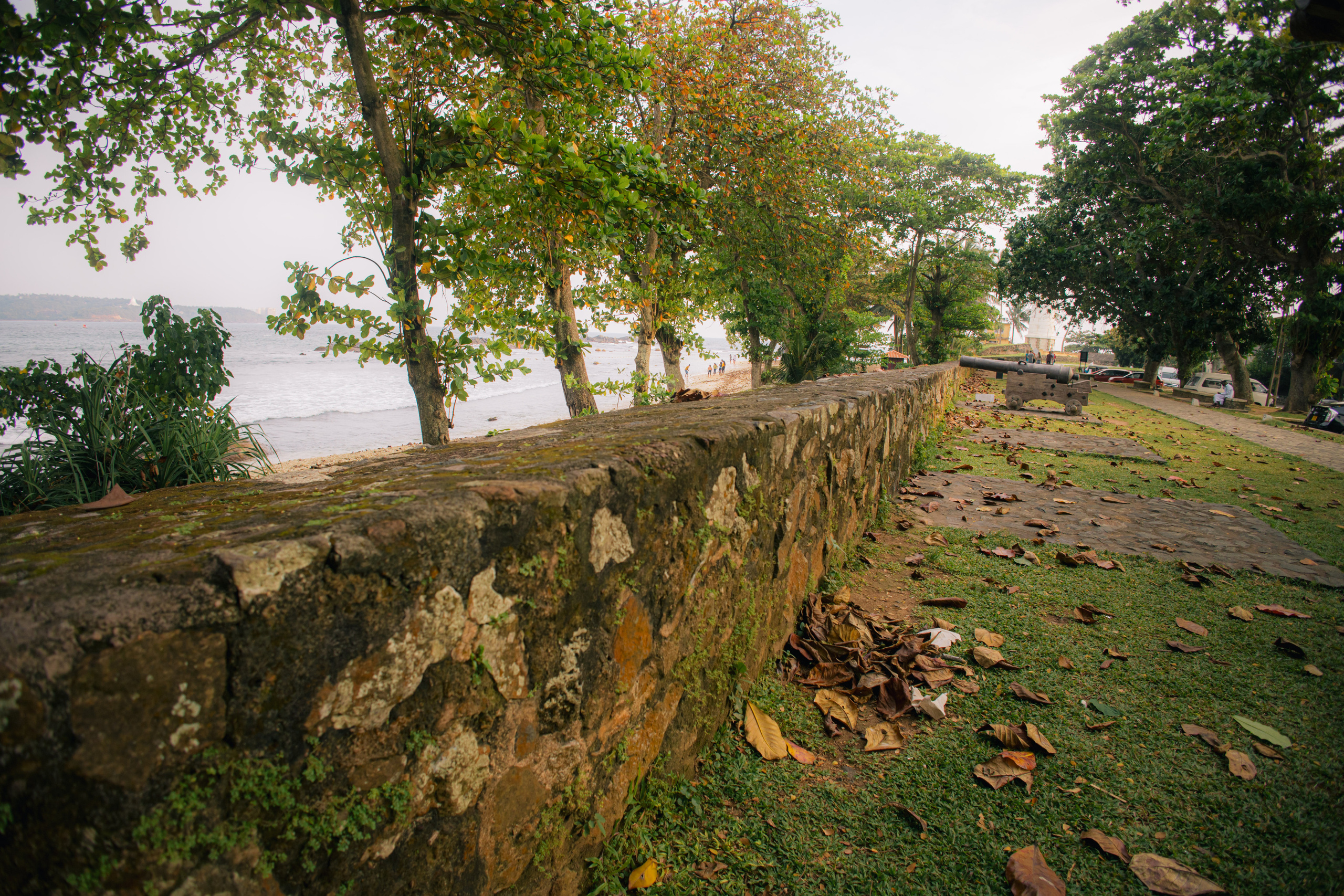 Surf_land. Ведущий на праздник в Москве / Денис Аганин
