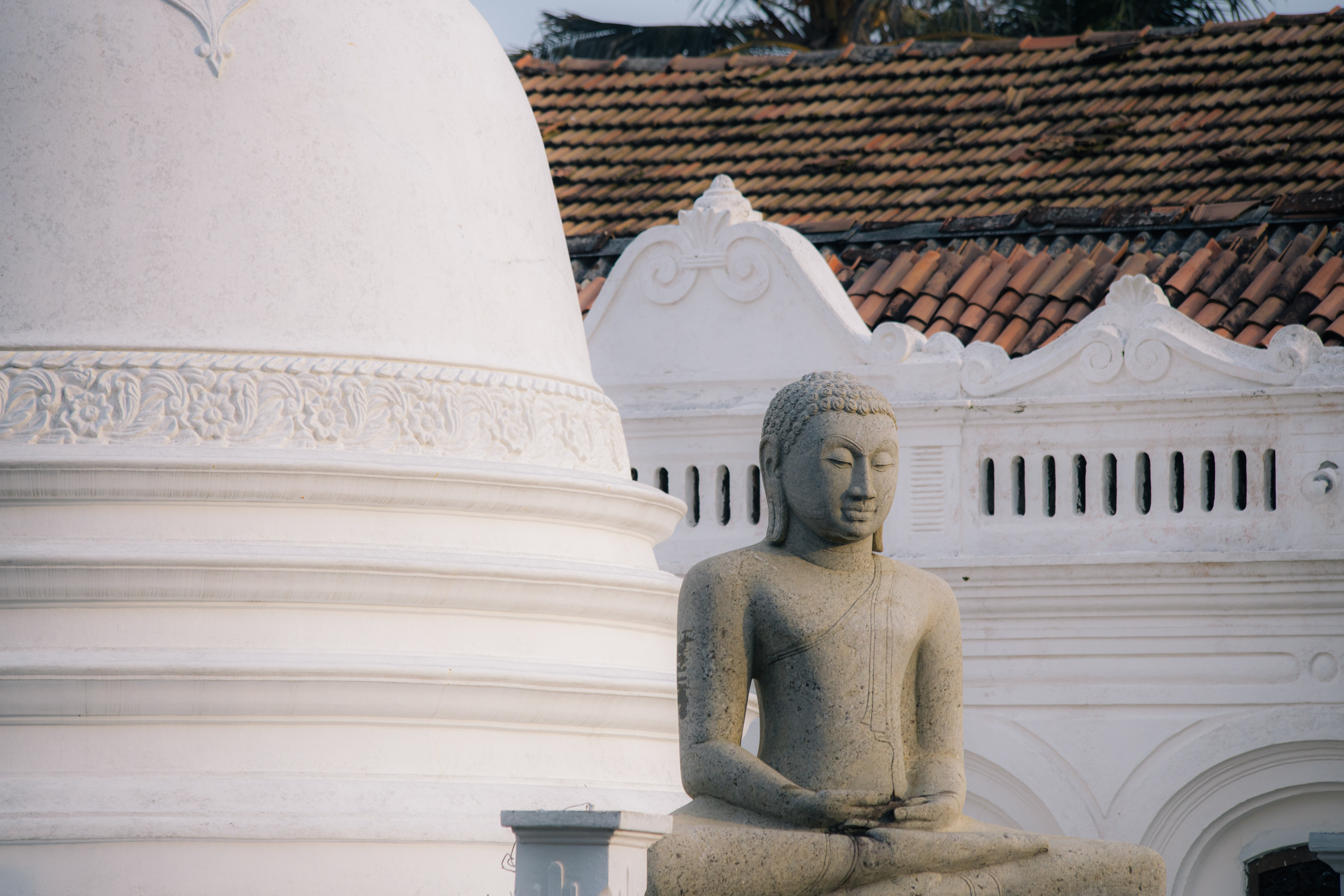 Surf_land. Ведущий на праздник в Москве / Денис Аганин