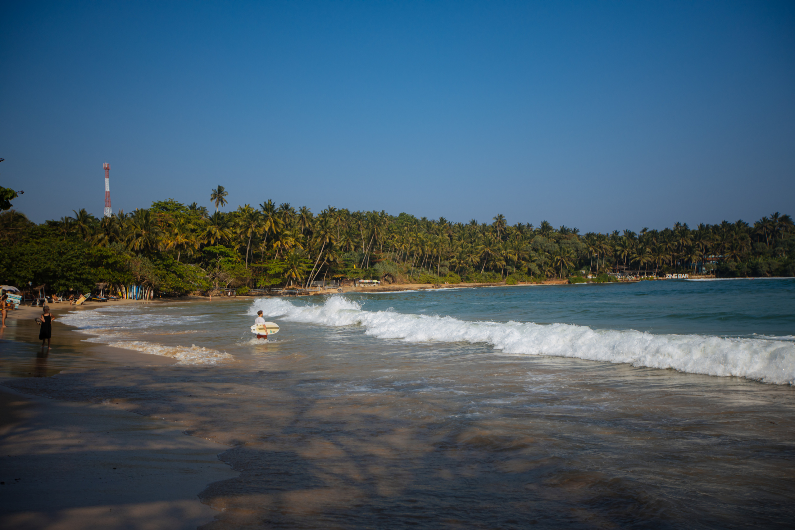 Surf_land. Ведущий на праздник в Москве / Денис Аганин