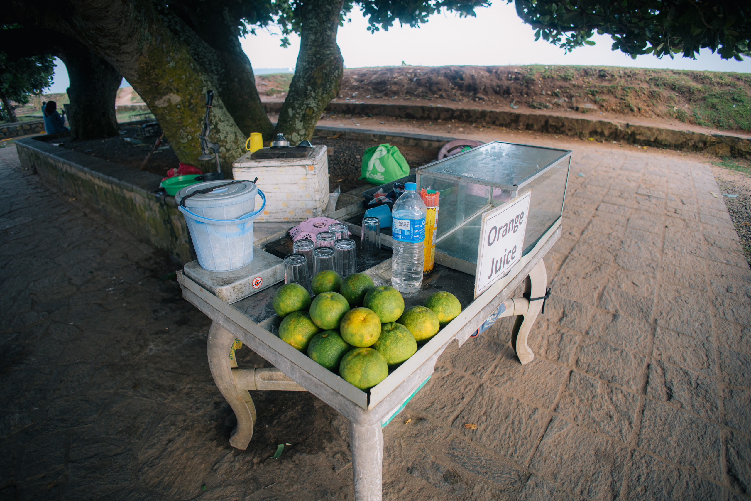 Surf_land. Ведущий на праздник в Москве / Денис Аганин