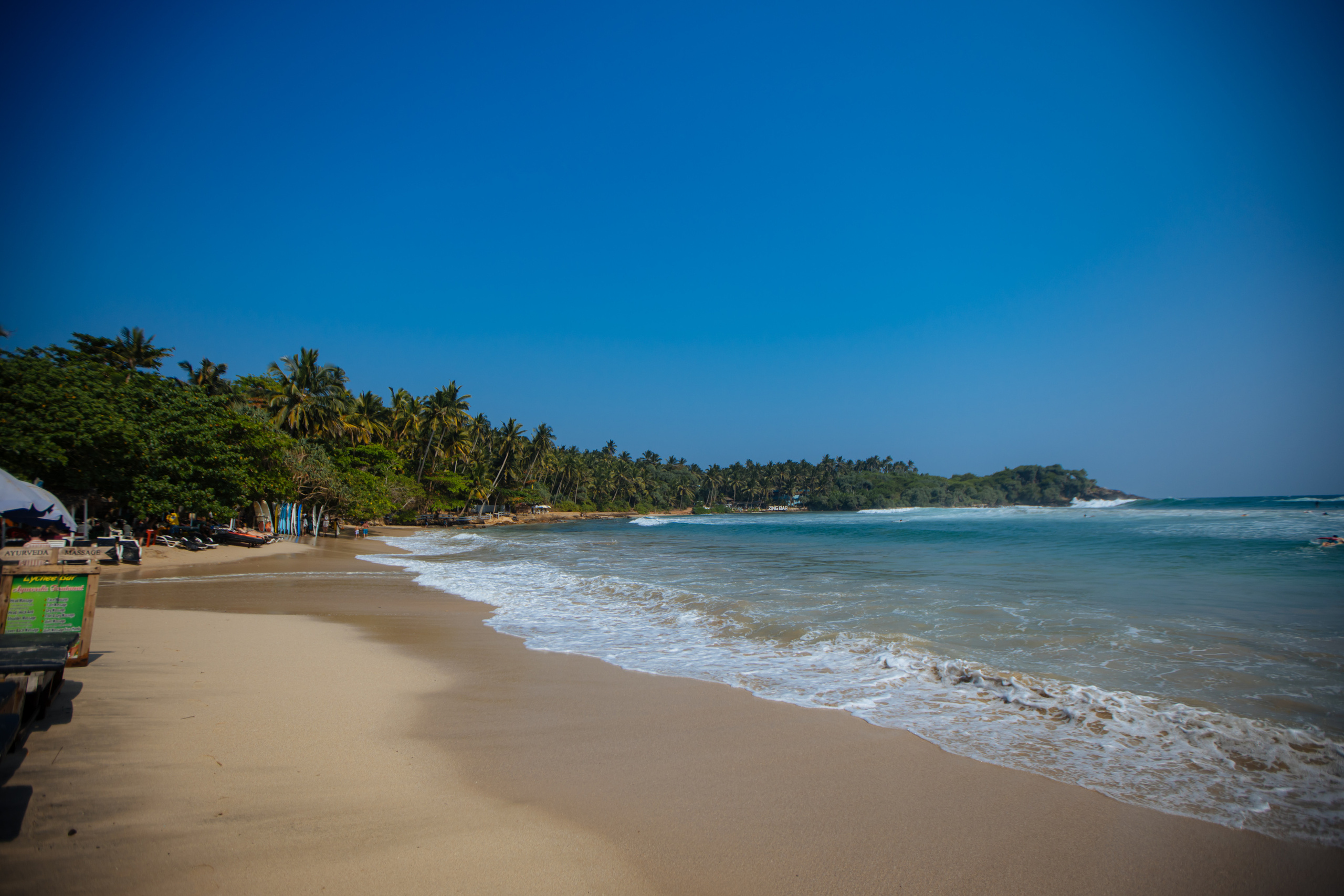 Surf_land. Ведущий на праздник в Москве / Денис Аганин