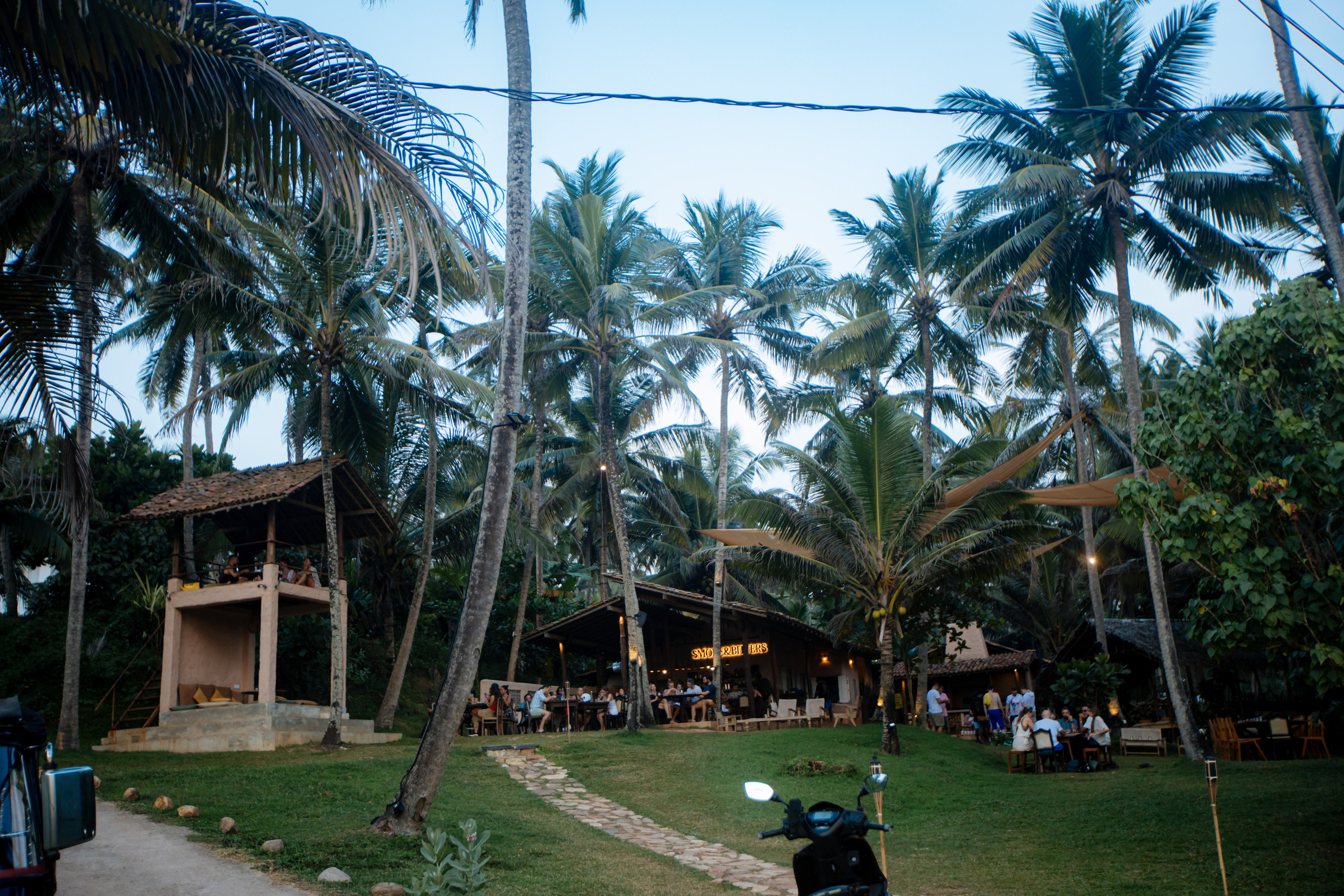 Surf_land. Ведущий на праздник в Москве / Денис Аганин