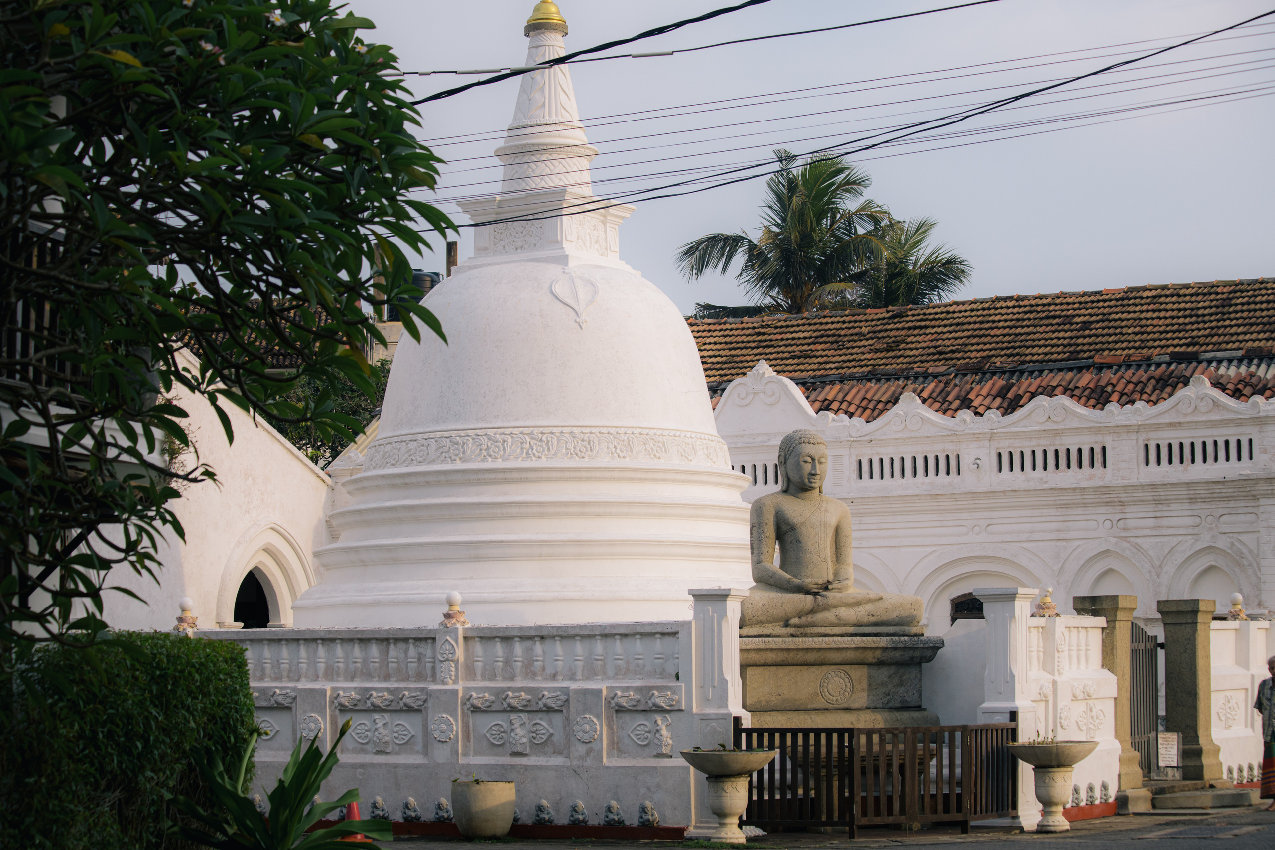 Surf_land. Ведущий на праздник в Москве / Денис Аганин