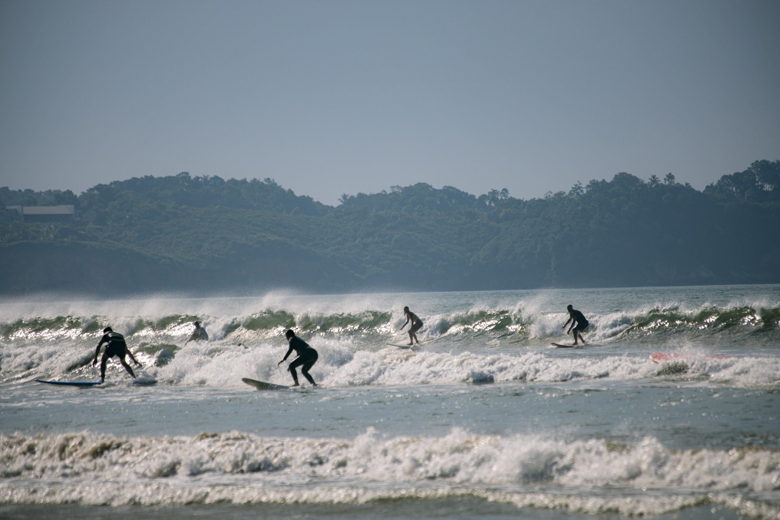 Weligama_bich. Ведущий на праздник в Москве / Денис Аганин