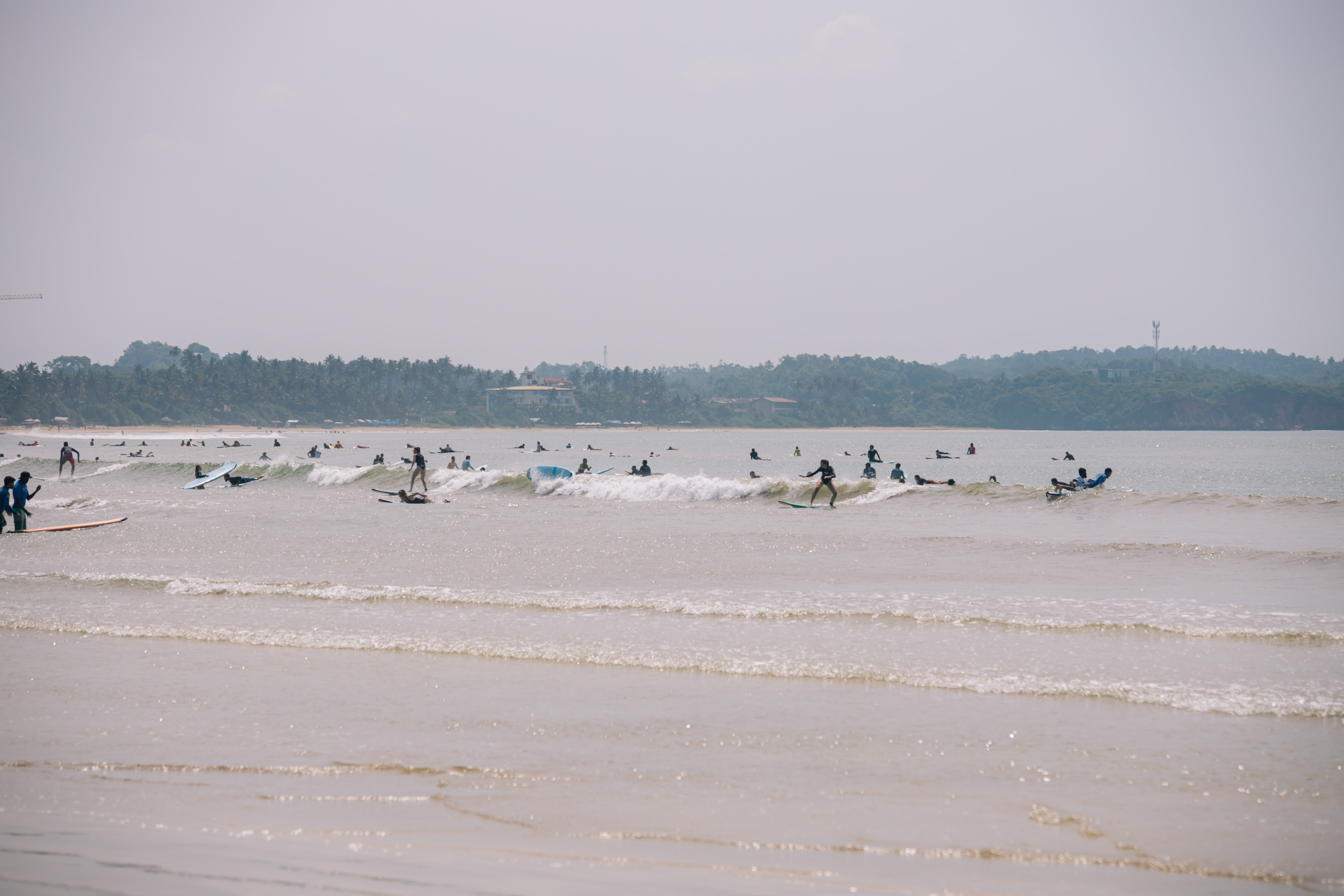 Surf_land. Ведущий на праздник в Москве / Денис Аганин