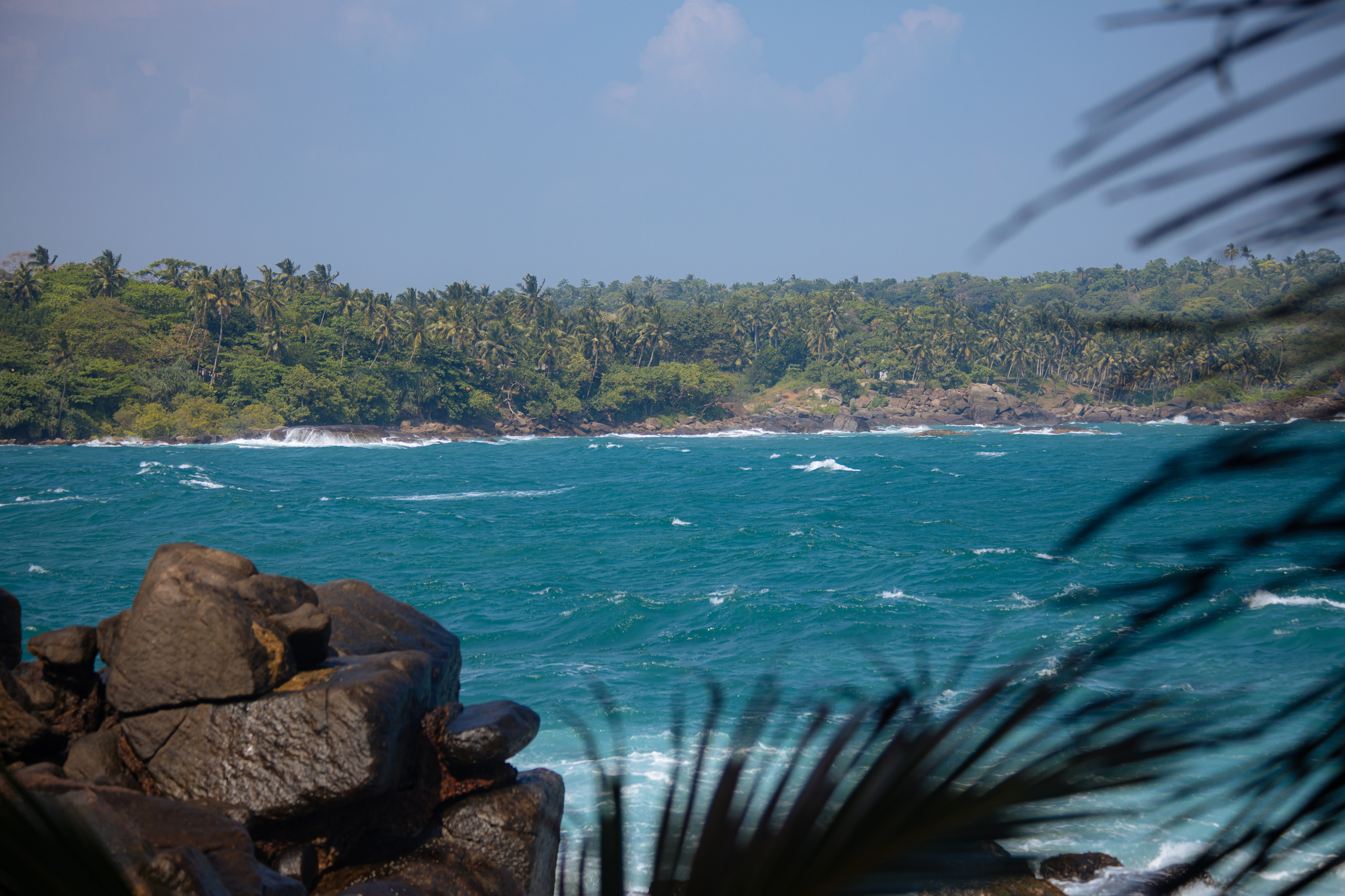 Surf_land. Ведущий на праздник в Москве / Денис Аганин