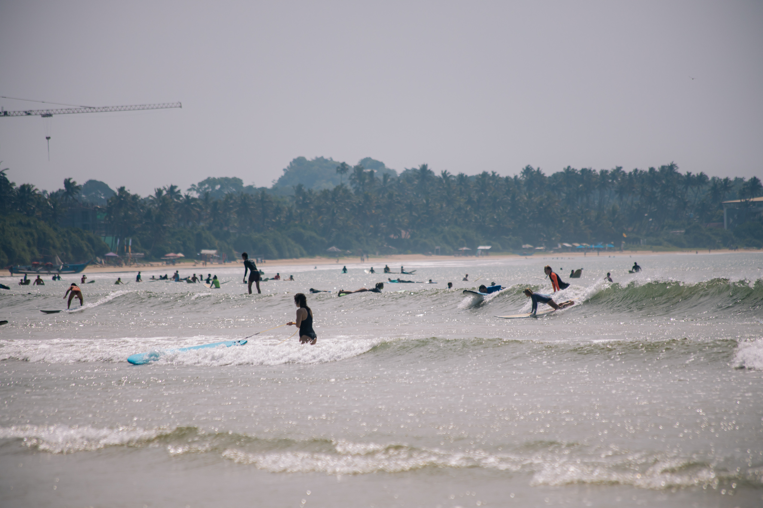 Surf_land. Ведущий на праздник в Москве / Денис Аганин
