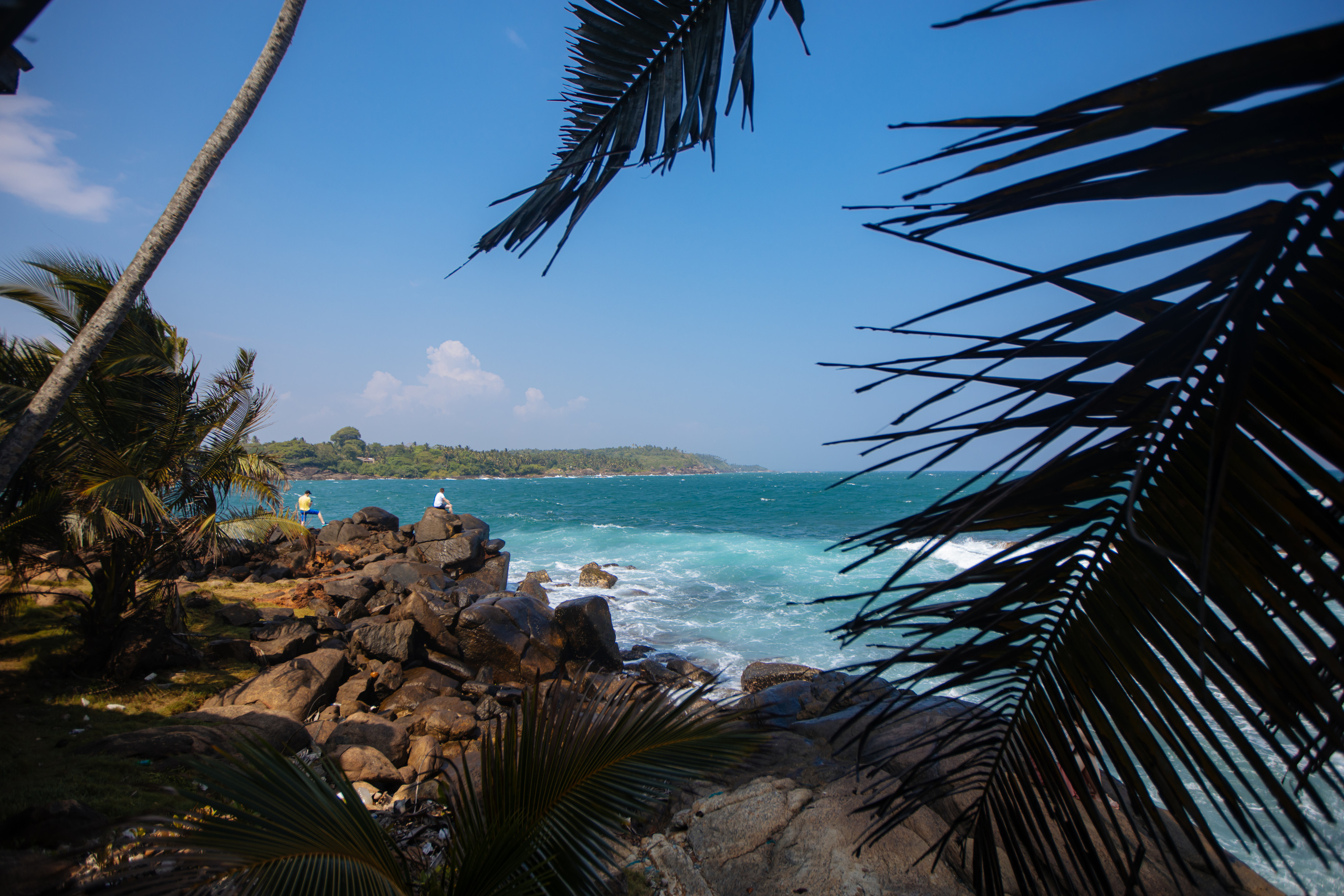 Surf_land. Ведущий на праздник в Москве / Денис Аганин