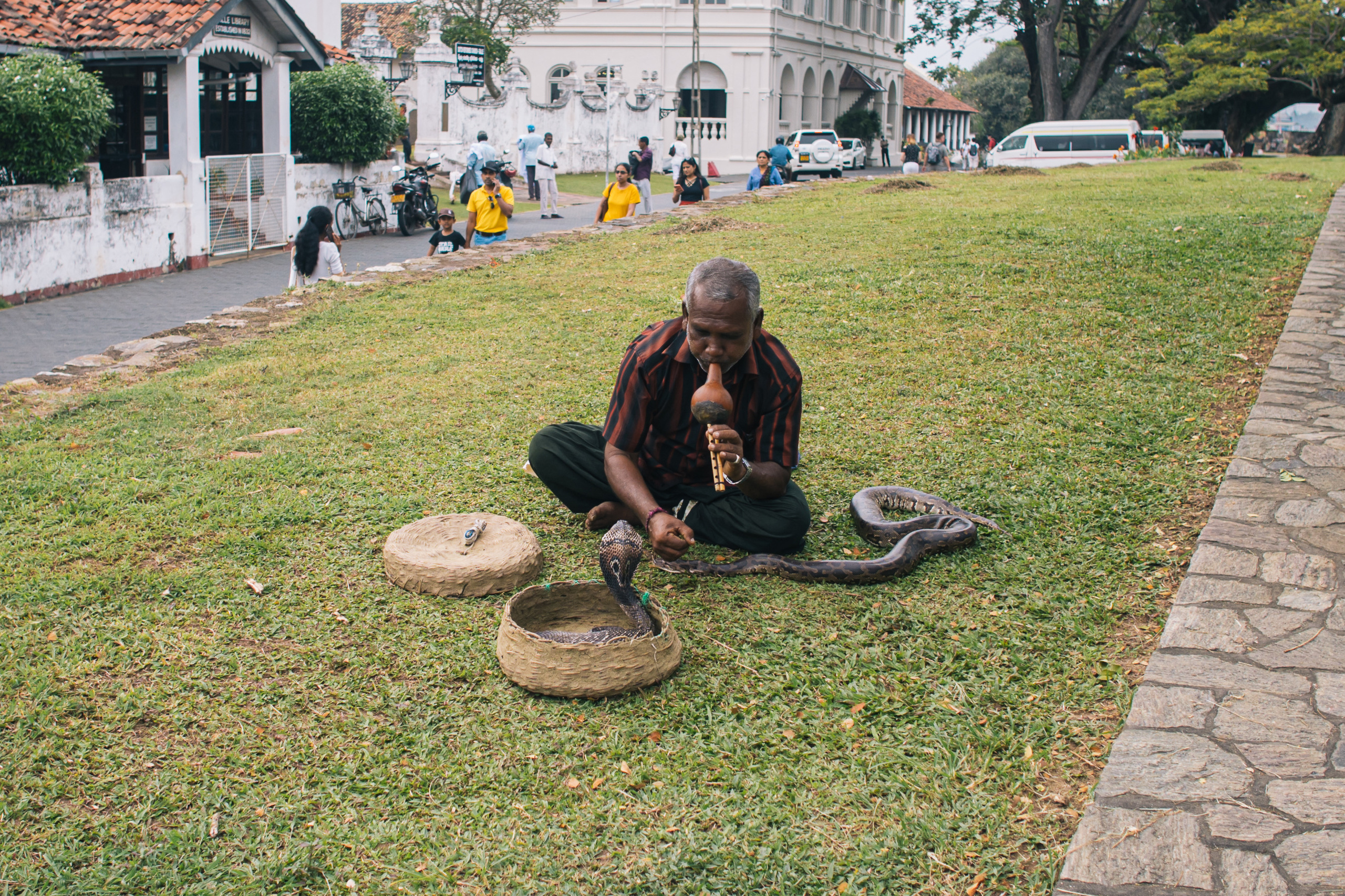 Surf_land. Ведущий на праздник в Москве / Денис Аганин