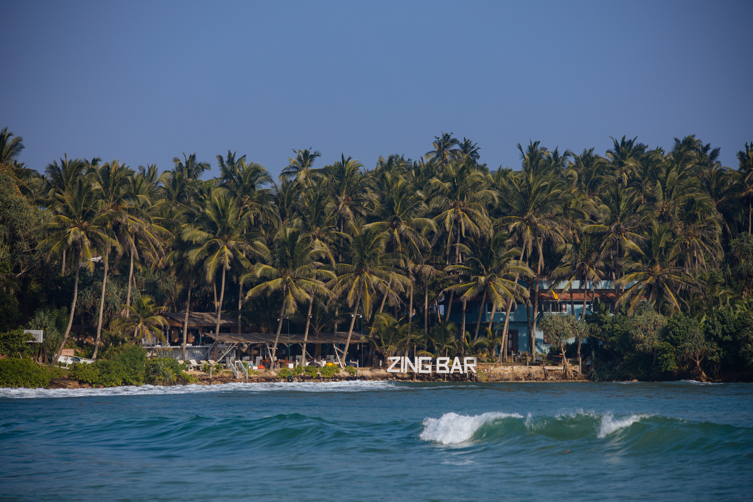 Surf_land. Ведущий на праздник в Москве / Денис Аганин