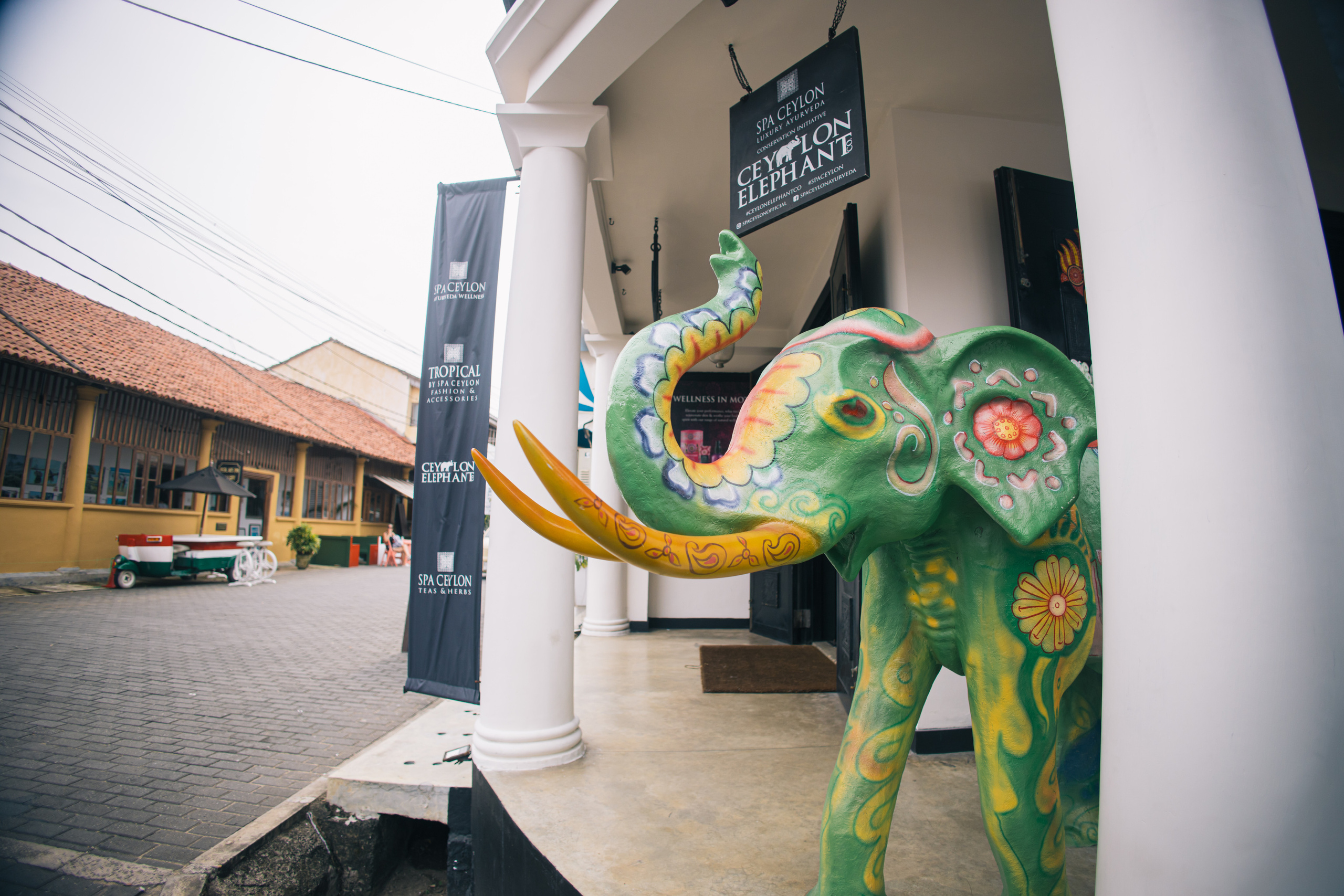 Surf_land. Ведущий на праздник в Москве / Денис Аганин