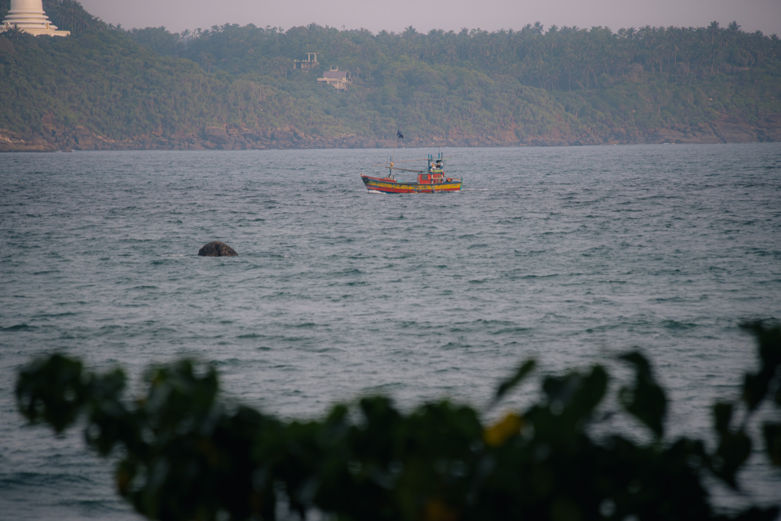 Surf_land. Ведущий на праздник в Москве / Денис Аганин