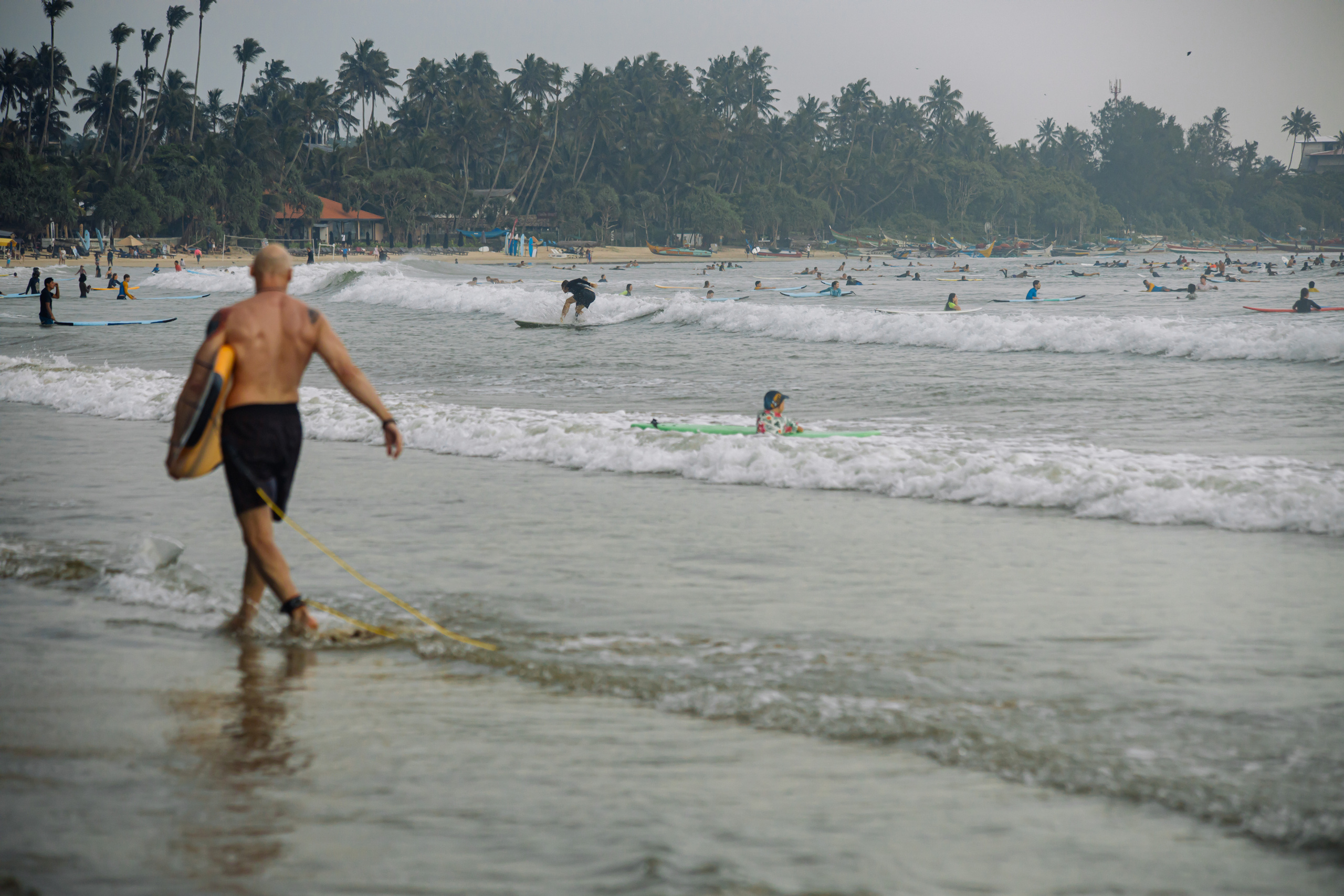 Weligama_bich. Ведущий на праздник в Москве / Денис Аганин