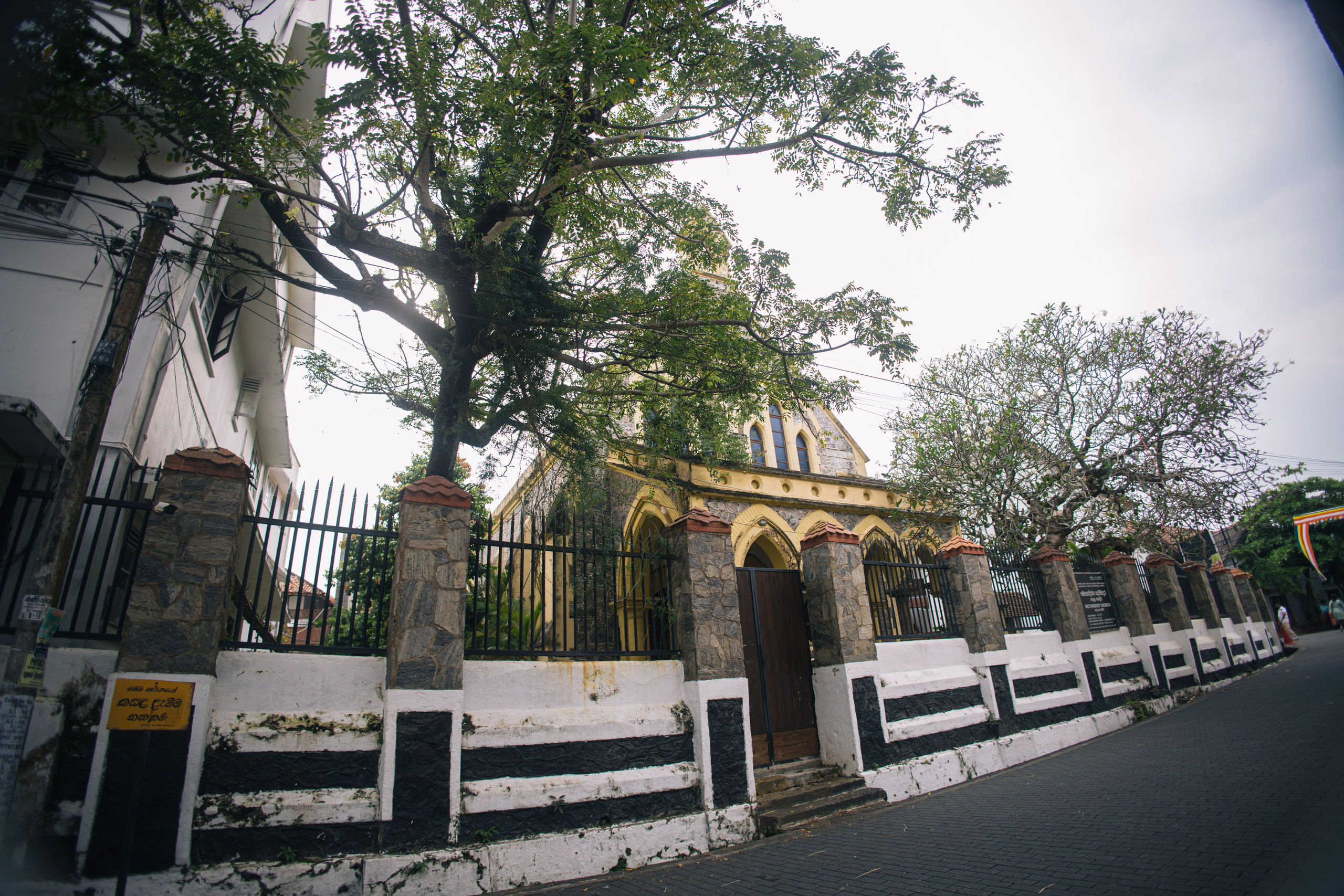Surf_land. Ведущий на праздник в Москве / Денис Аганин