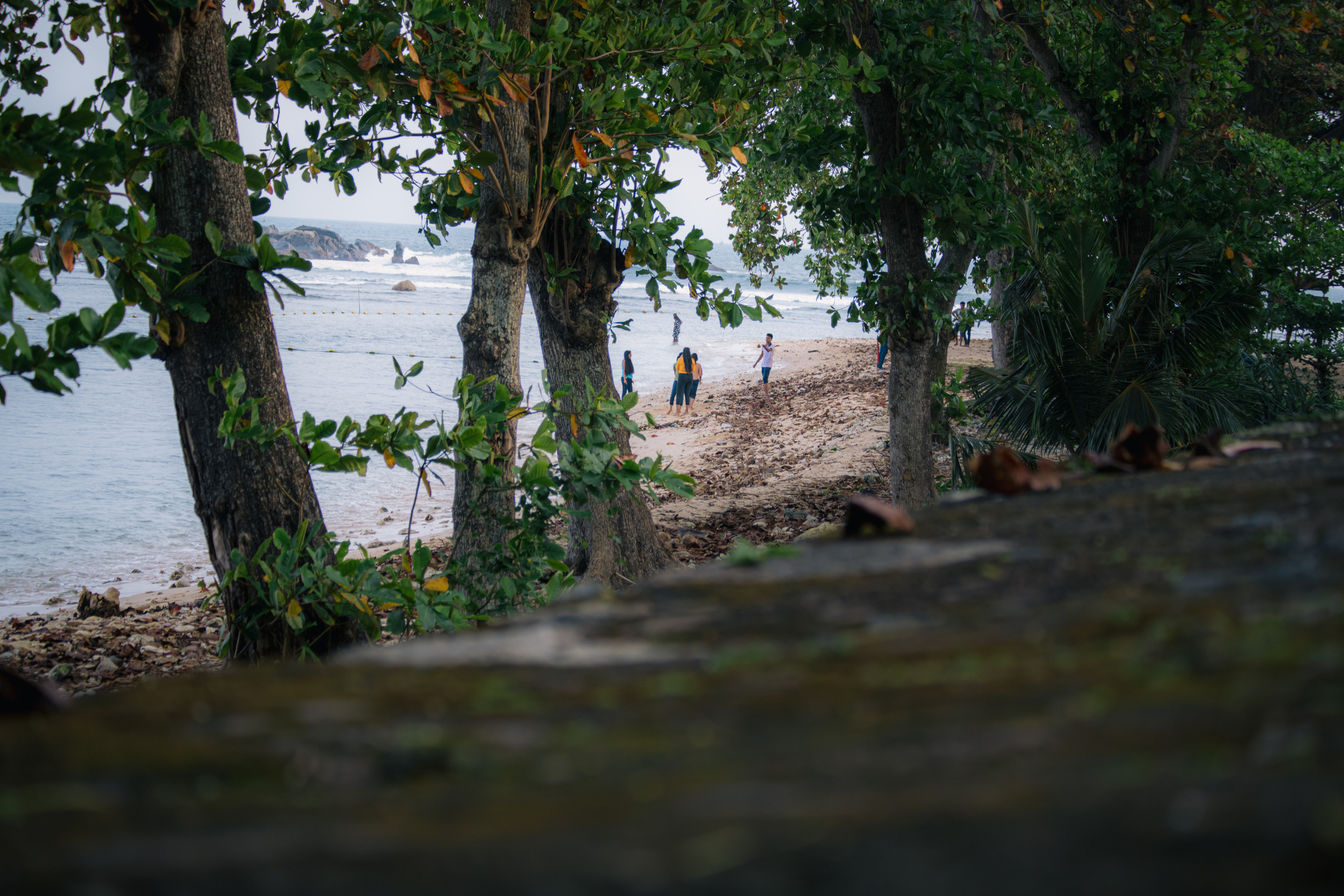Surf_land. Ведущий на праздник в Москве / Денис Аганин