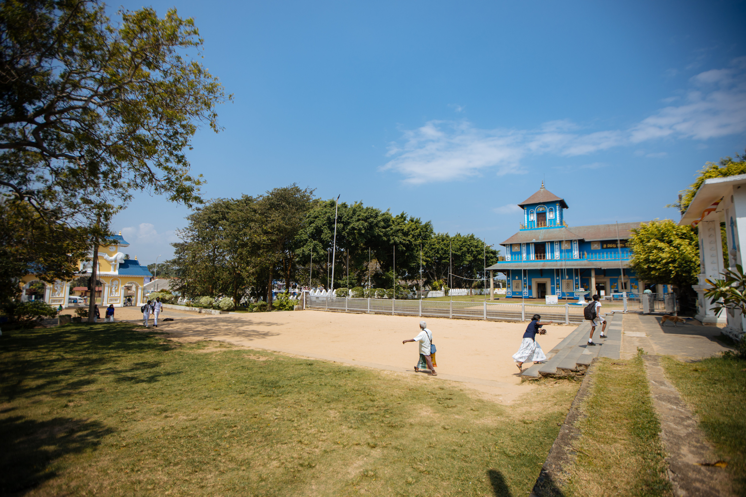 Surf_land. Ведущий на праздник в Москве / Денис Аганин