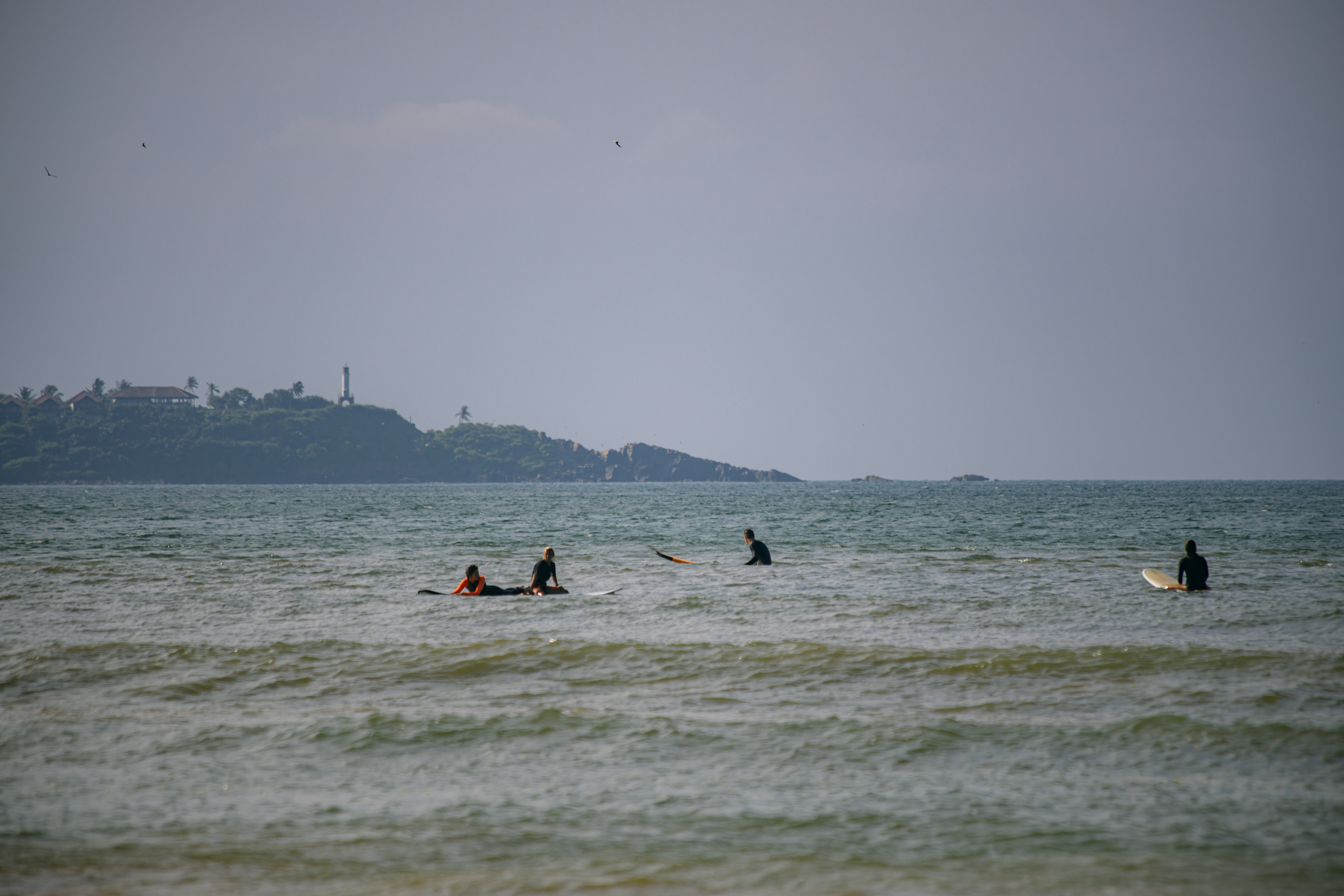 Surf_land. Ведущий на праздник в Москве / Денис Аганин