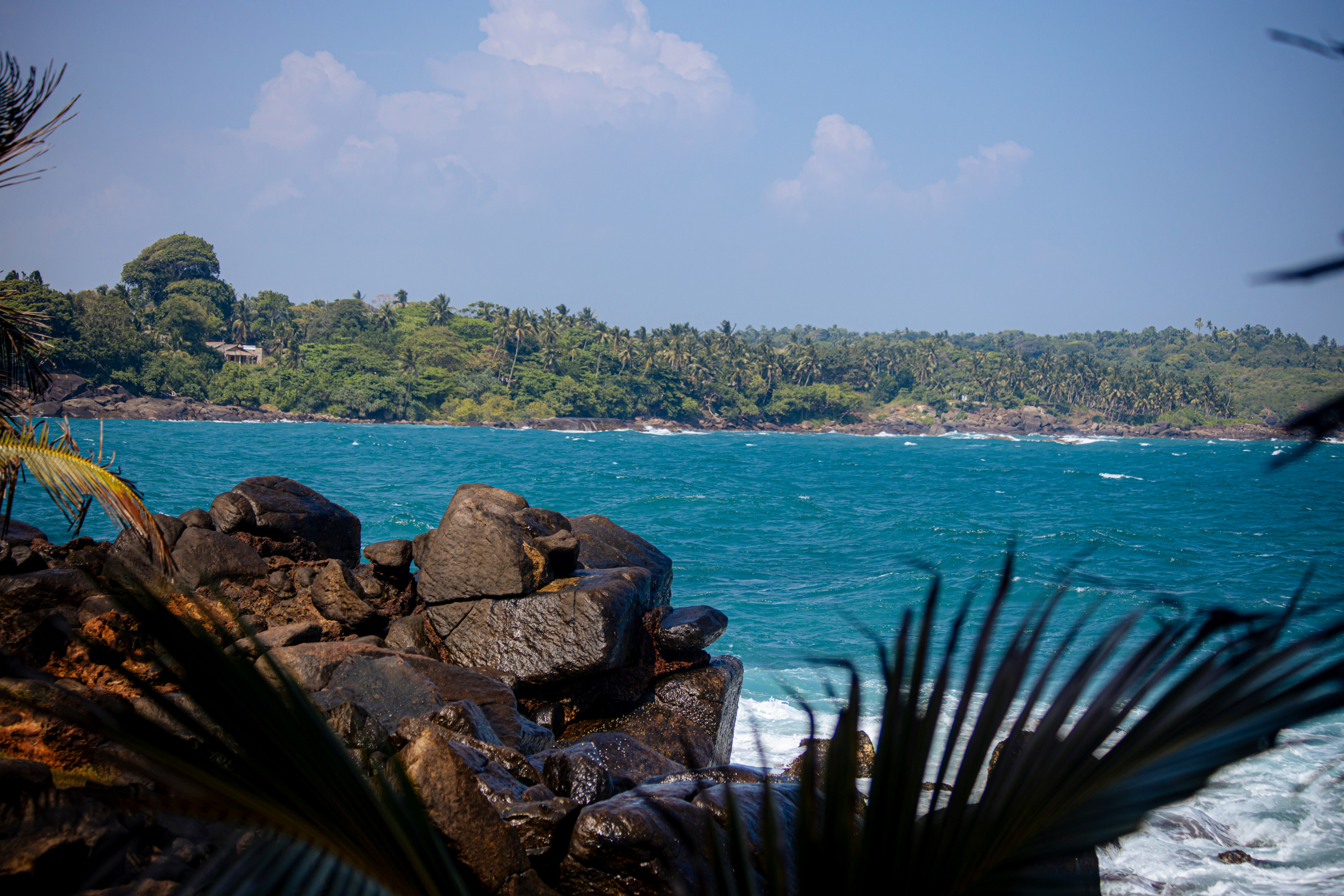 LoveStory Баунти. Ведущий на праздник в Москве / Денис Аганин
