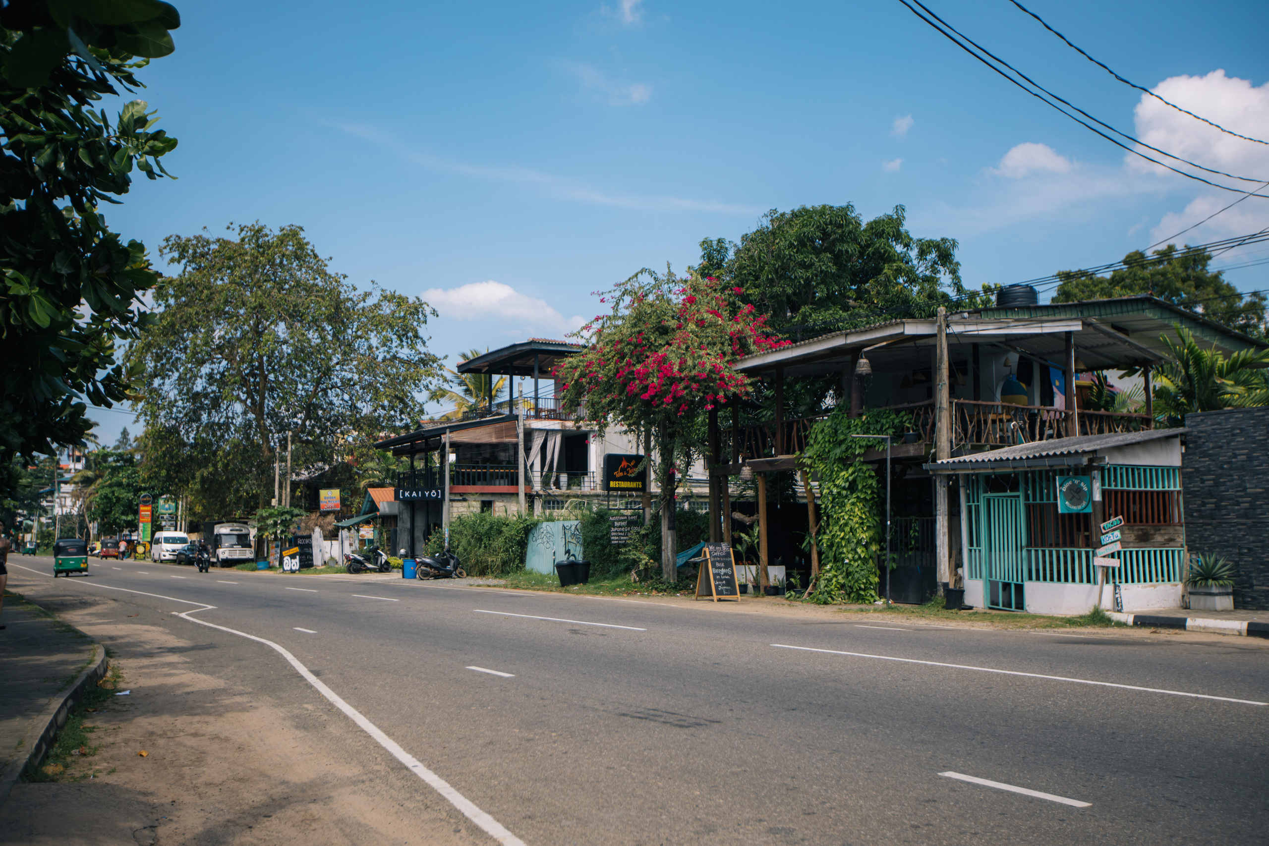 Surf_land. Ведущий на праздник в Москве / Денис Аганин