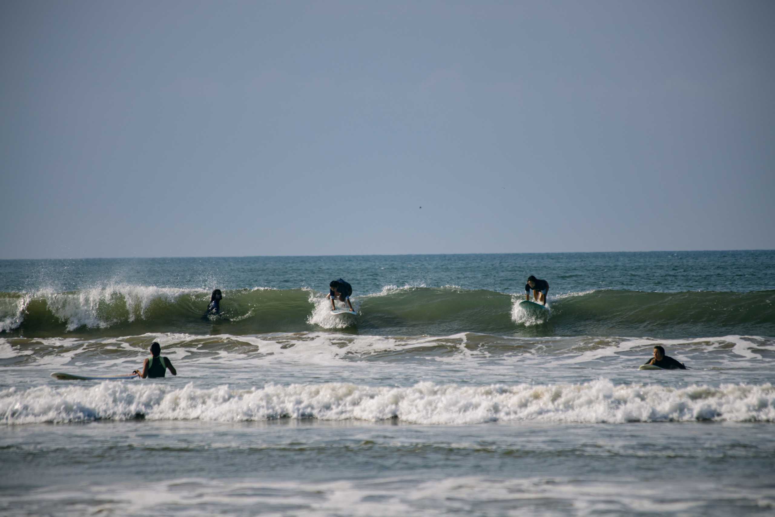 Surf_land. Ведущий на праздник в Москве / Денис Аганин