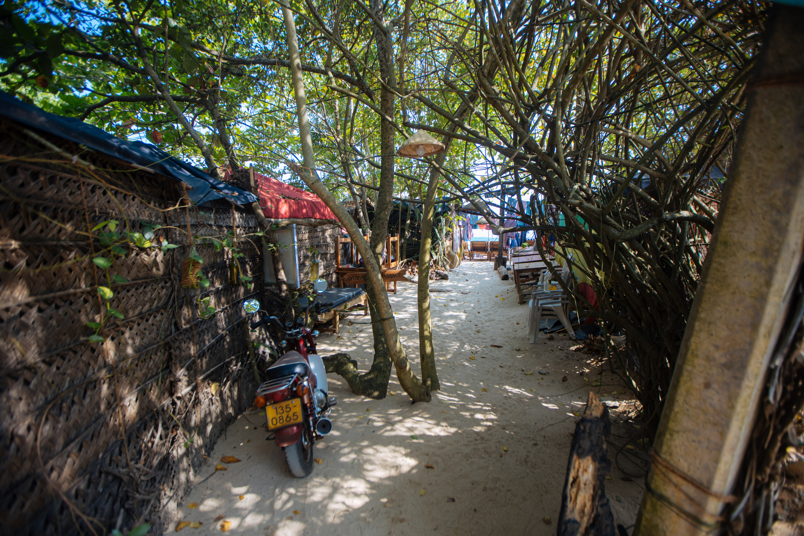 Surf_land. Ведущий на праздник в Москве / Денис Аганин