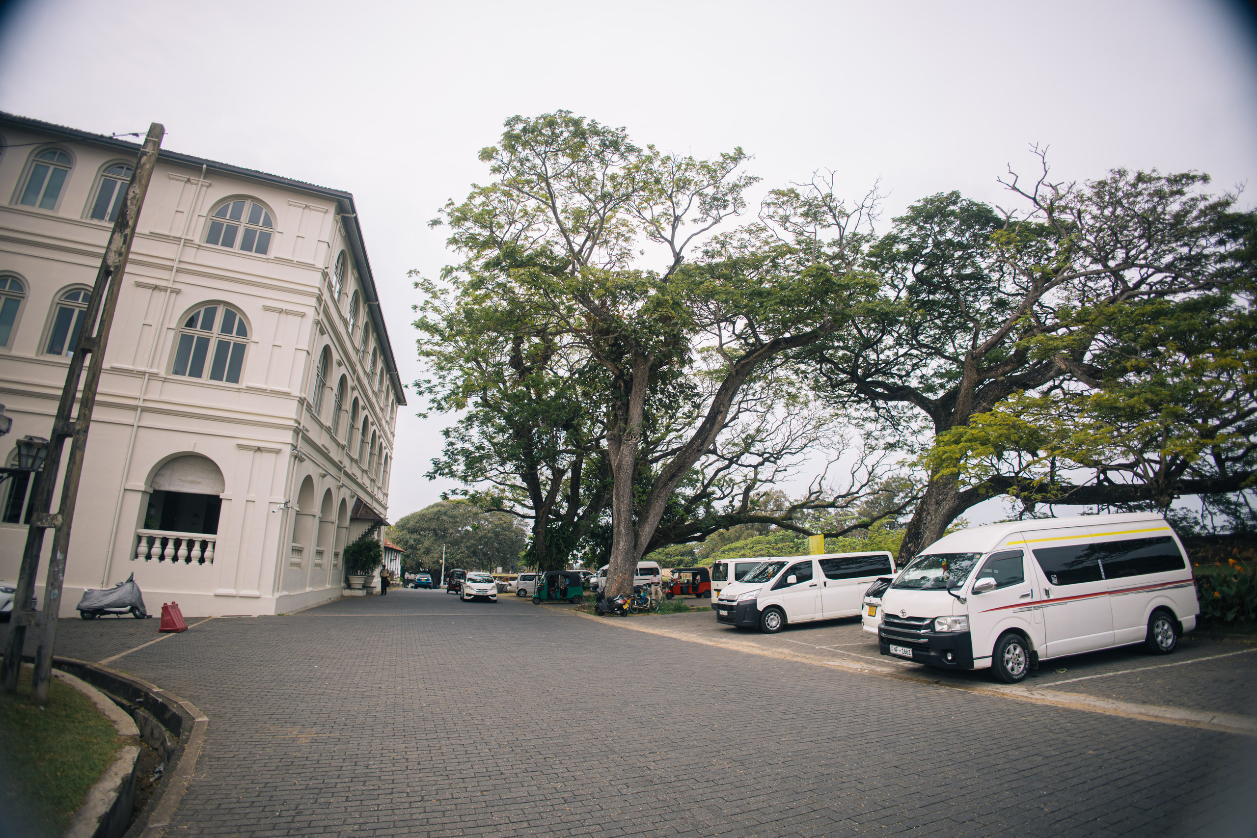 Surf_land. Ведущий на праздник в Москве / Денис Аганин