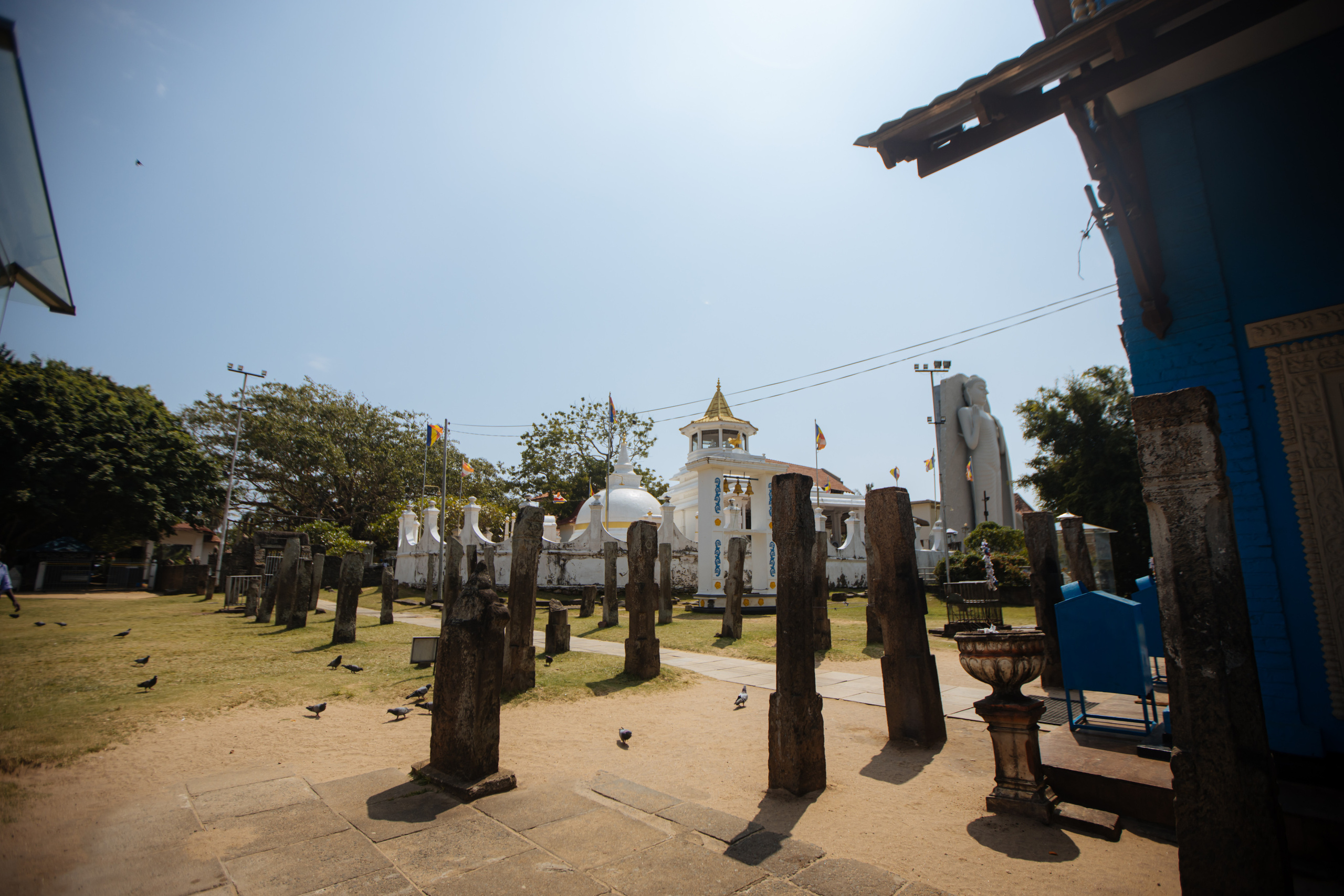 Surf_land. Ведущий на праздник в Москве / Денис Аганин