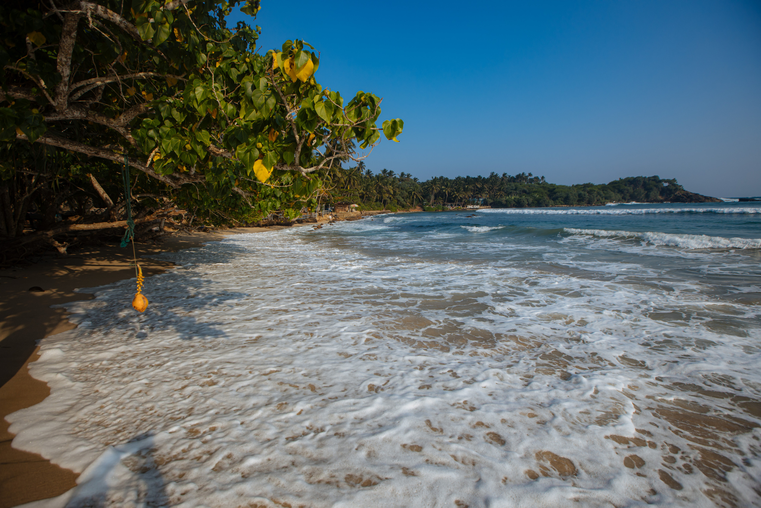 Surf_land. Ведущий на праздник в Москве / Денис Аганин