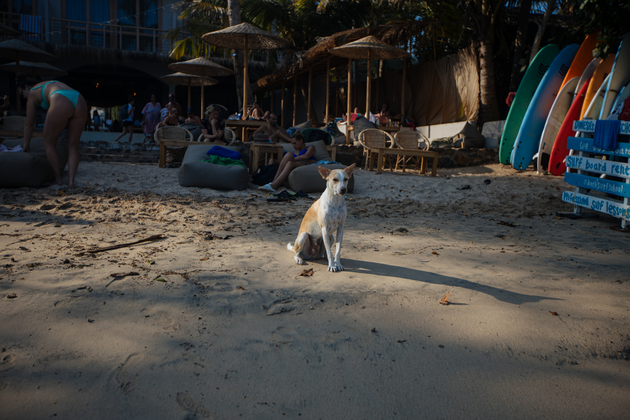 Surf_land. Ведущий на праздник в Москве / Денис Аганин