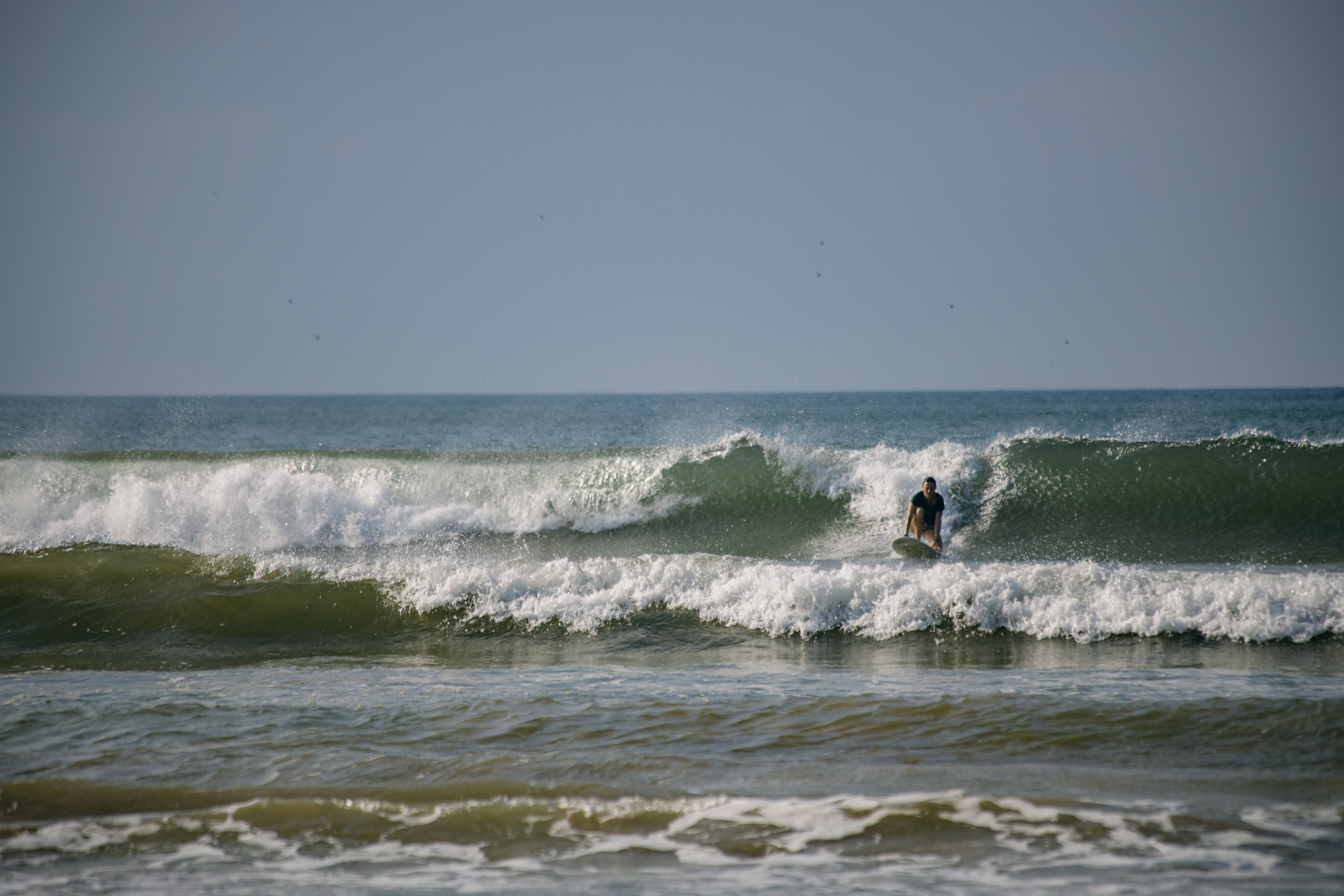 Surf_land. Ведущий на праздник в Москве / Денис Аганин