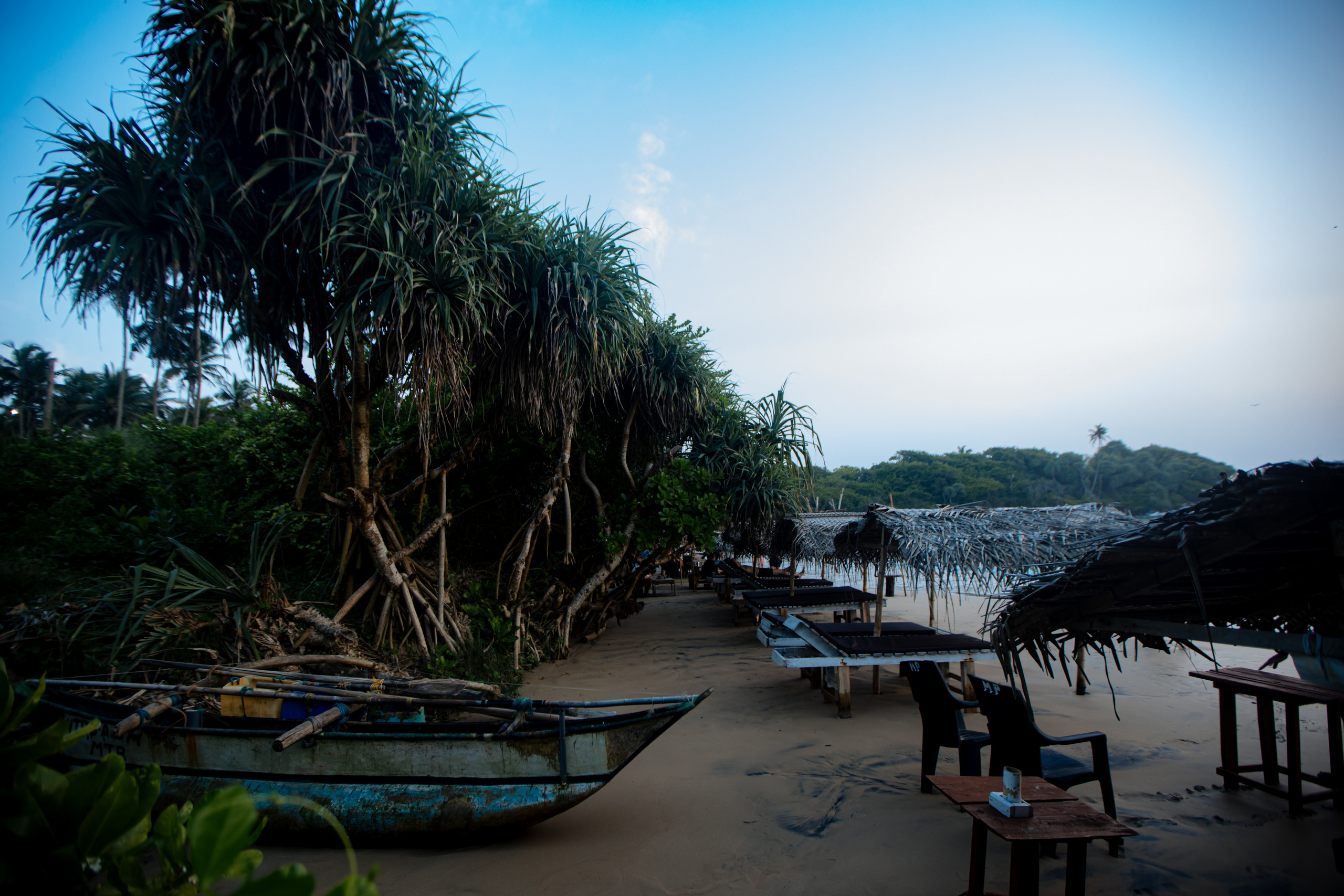 Surf_land. Ведущий на праздник в Москве / Денис Аганин