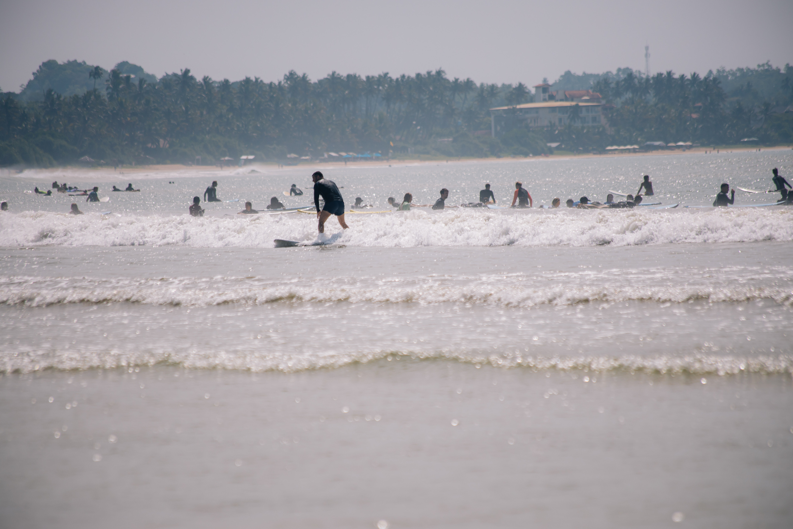 Surf_land. Ведущий на праздник в Москве / Денис Аганин