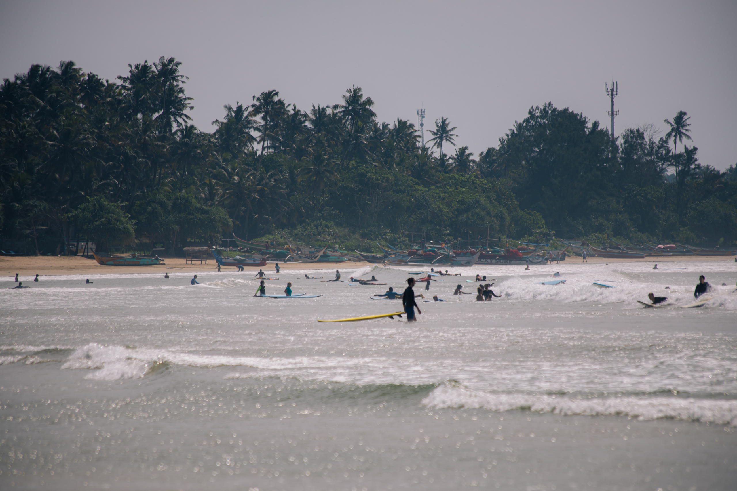 Surf_land. Ведущий на праздник в Москве / Денис Аганин