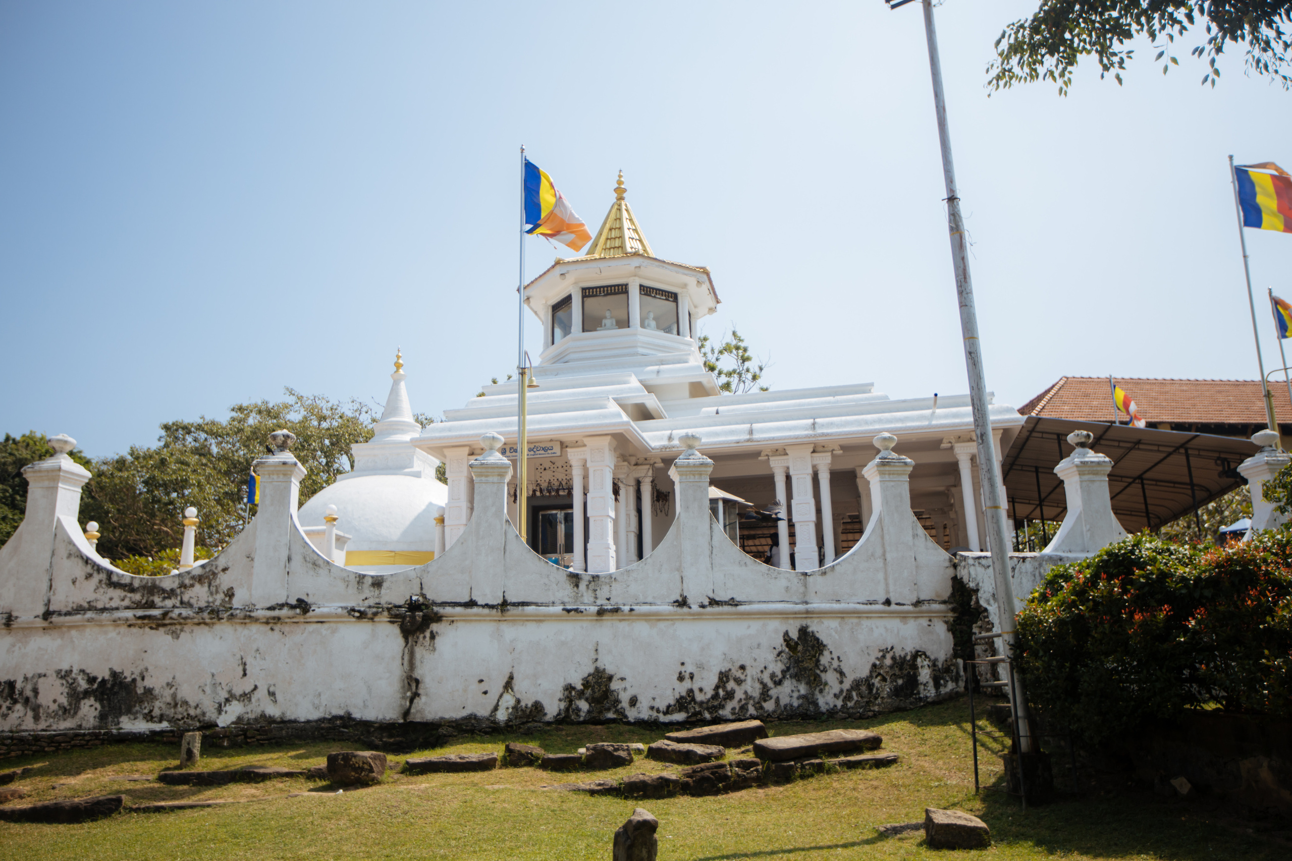 Surf_land. Ведущий на праздник в Москве / Денис Аганин