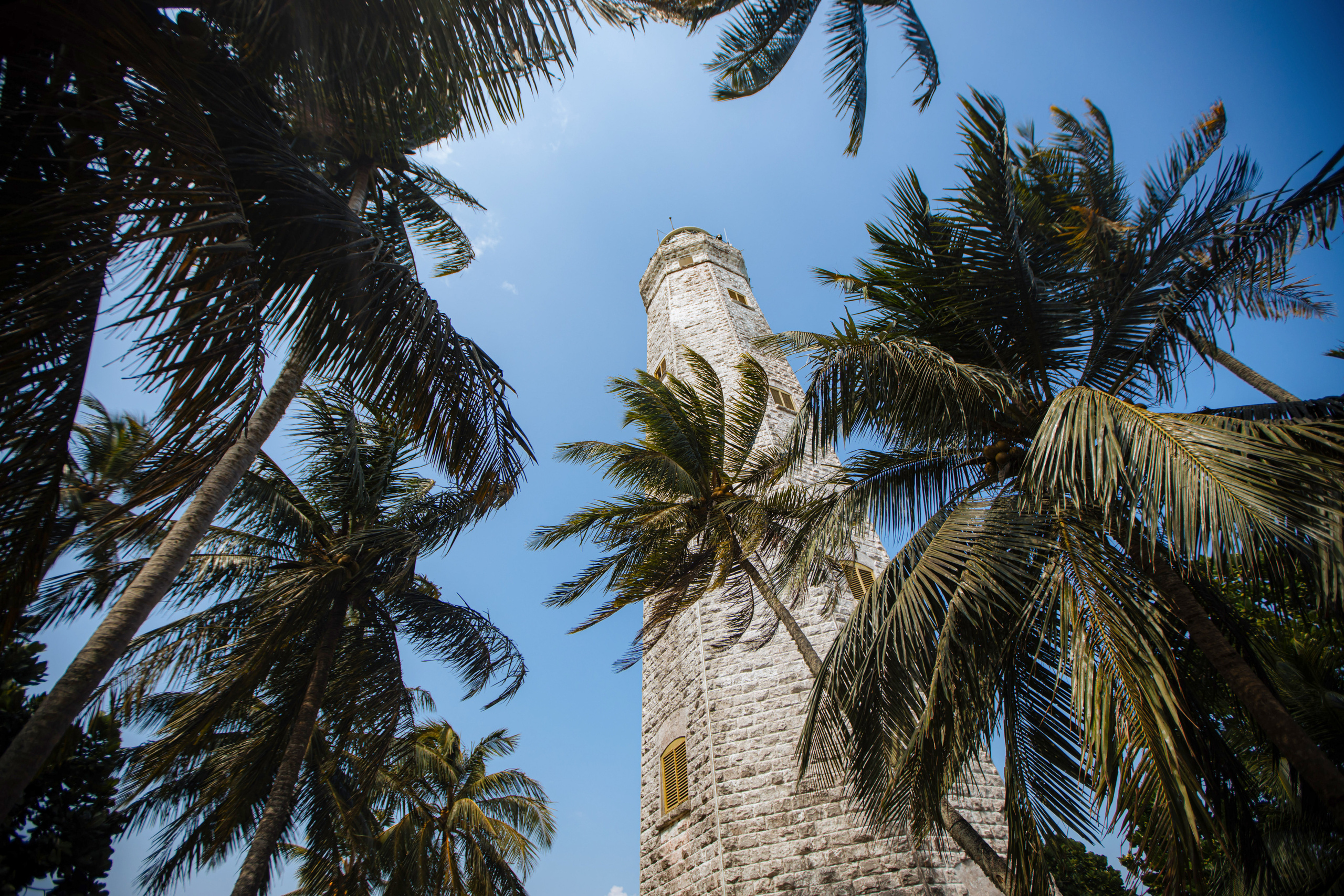 LoveStory Баунти. Ведущий на праздник в Москве / Денис Аганин