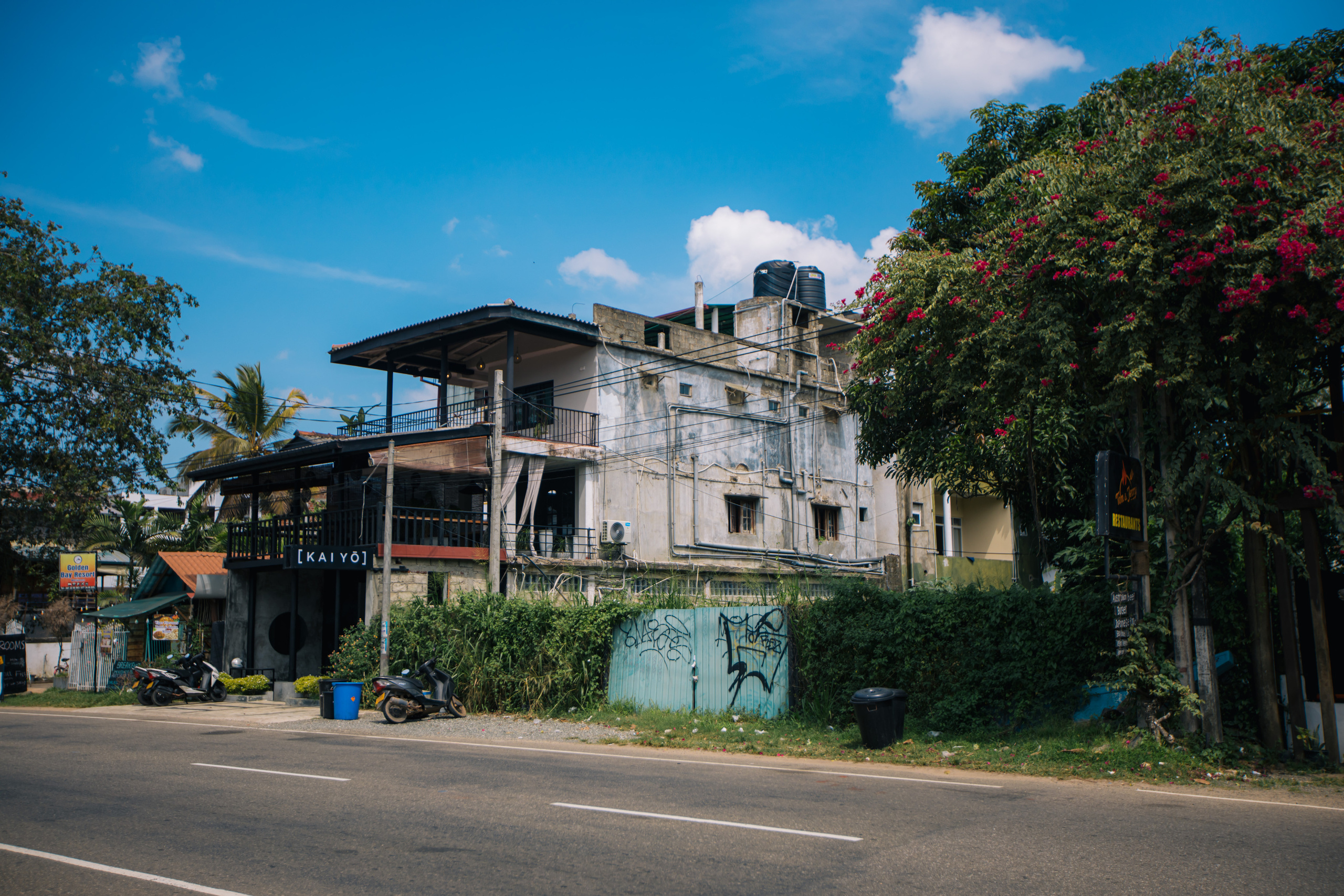 Surf_land. Ведущий на праздник в Москве / Денис Аганин