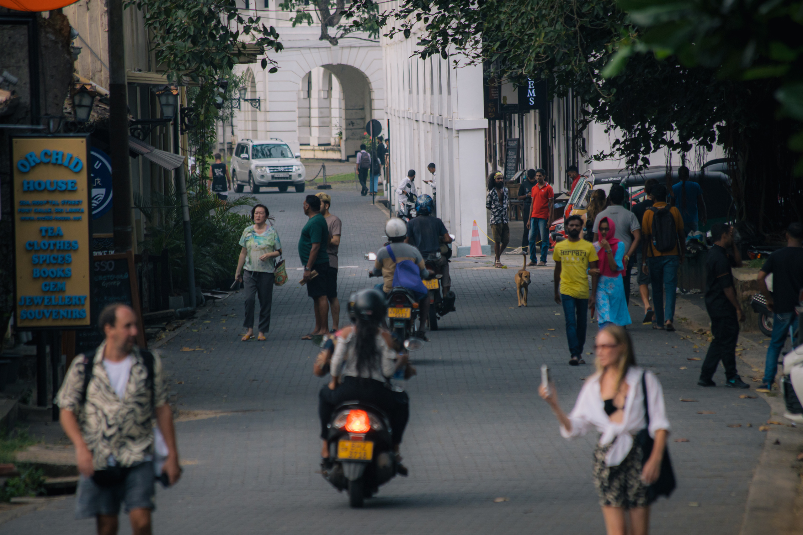 Surf_land. Ведущий на праздник в Москве / Денис Аганин