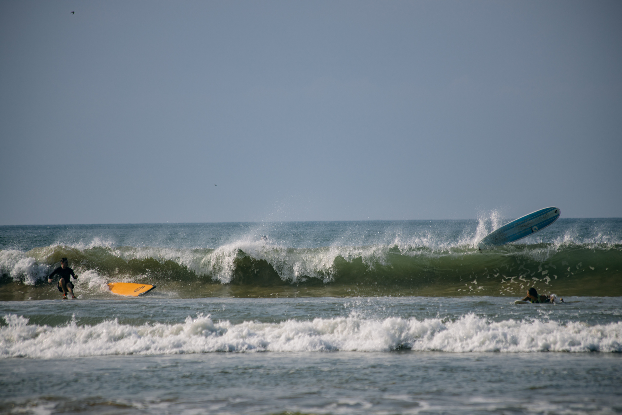Surf_land. Ведущий на праздник в Москве / Денис Аганин